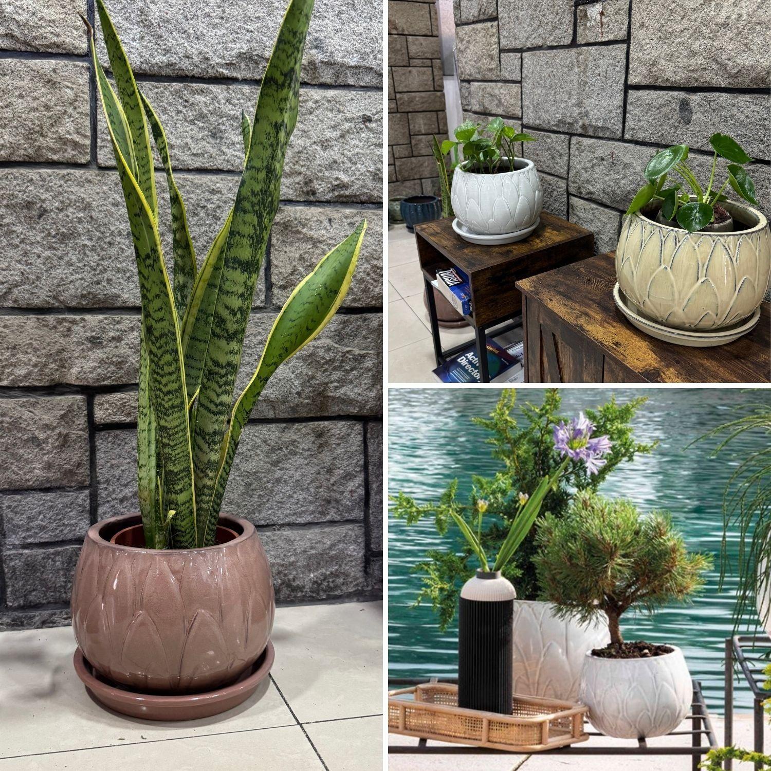 Maceta Victoria 37 Malva con plato-4