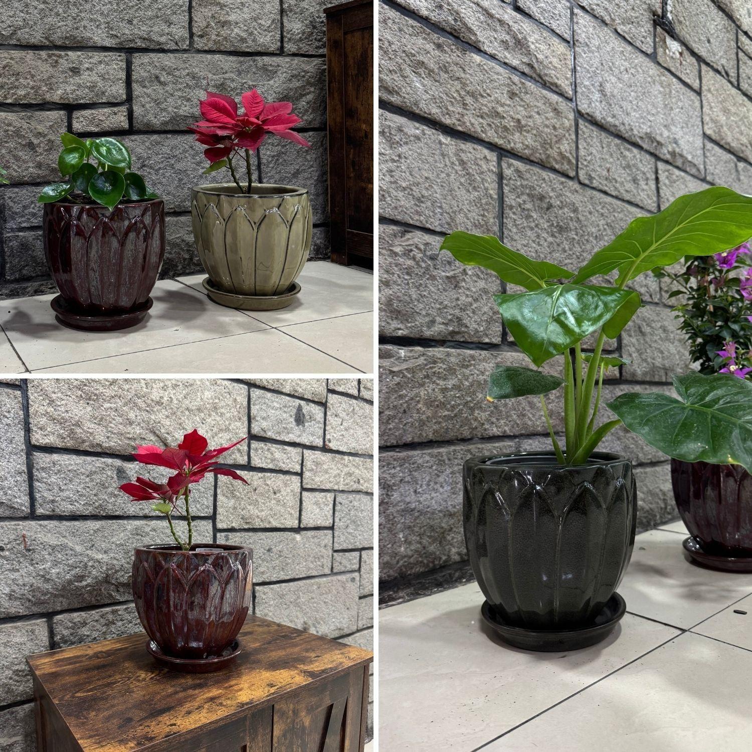 Maceta Forest 37 Rojo Cedro con plato-2