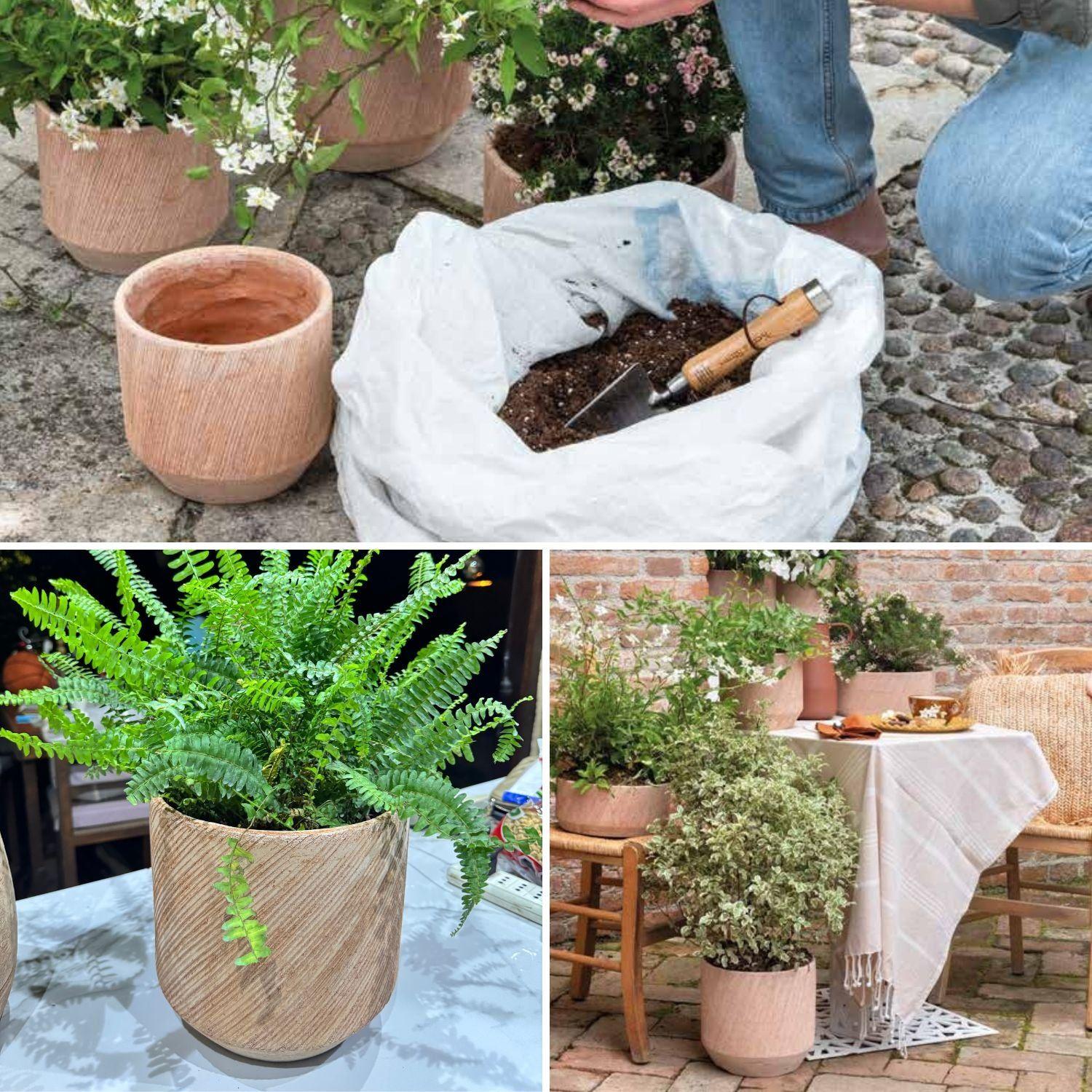 Maceta Graffio 19cm Texturizada, terracota-2