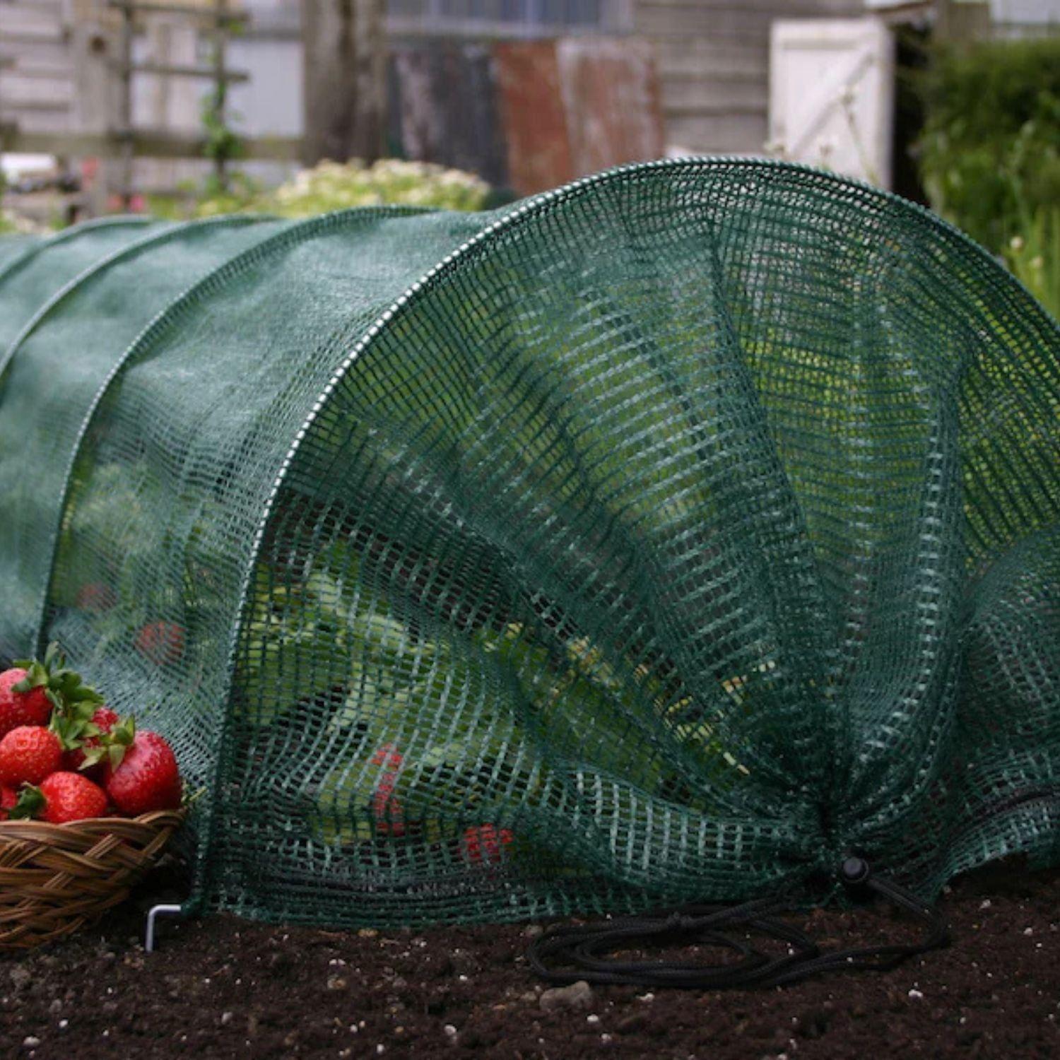 Tunel Protector Cultivo 3mt-2