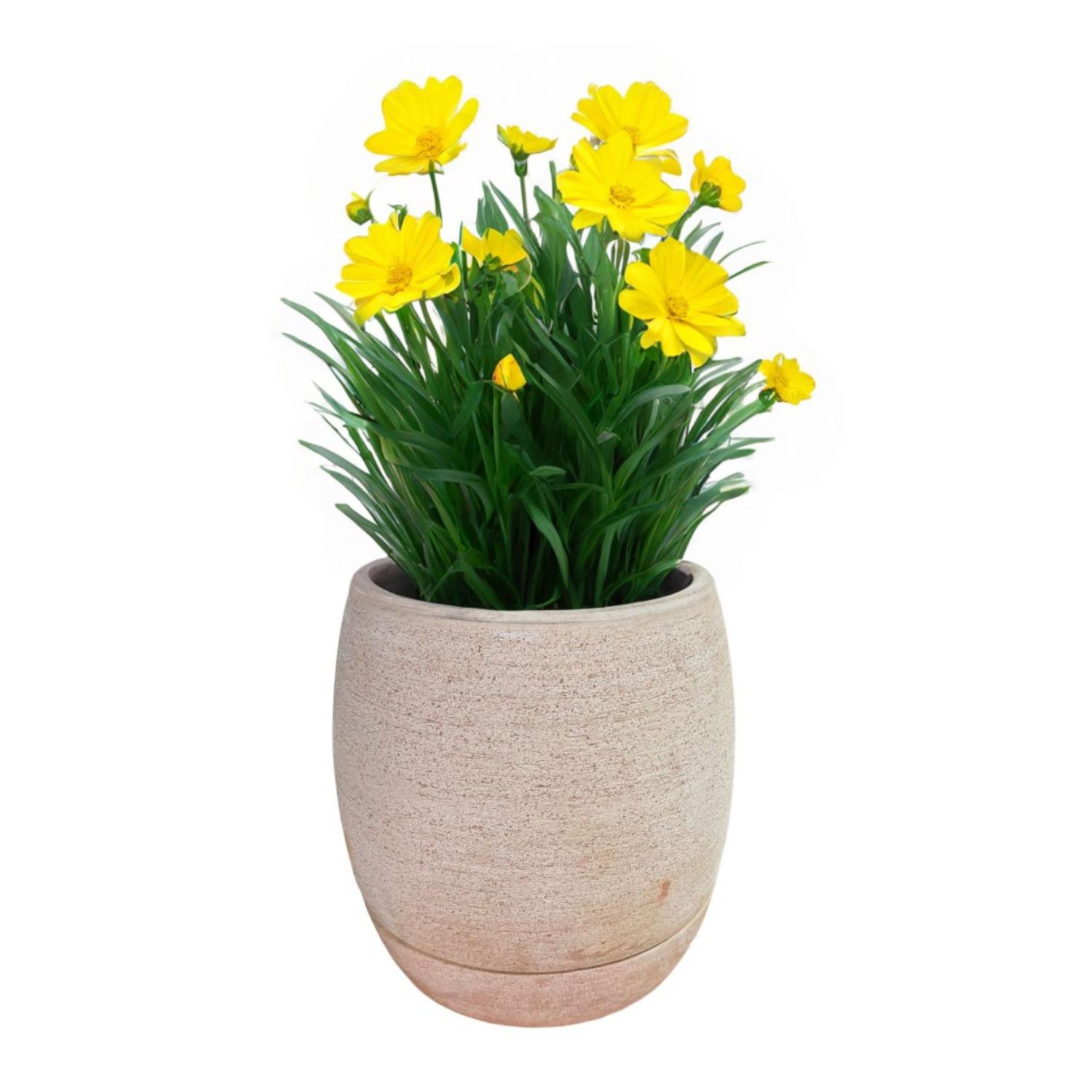 Maceta Autoriego Tornio 35cm Terrarcilla-1