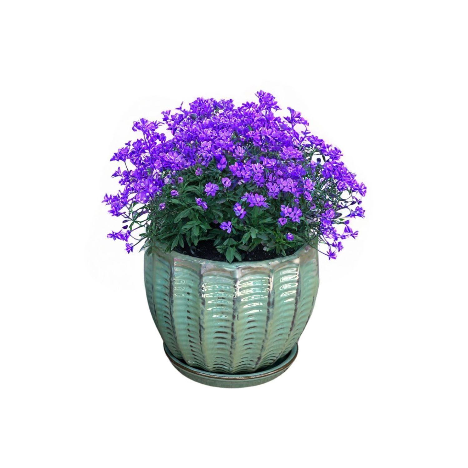 Maceta Hosse 20 Azul Capri con plato-1