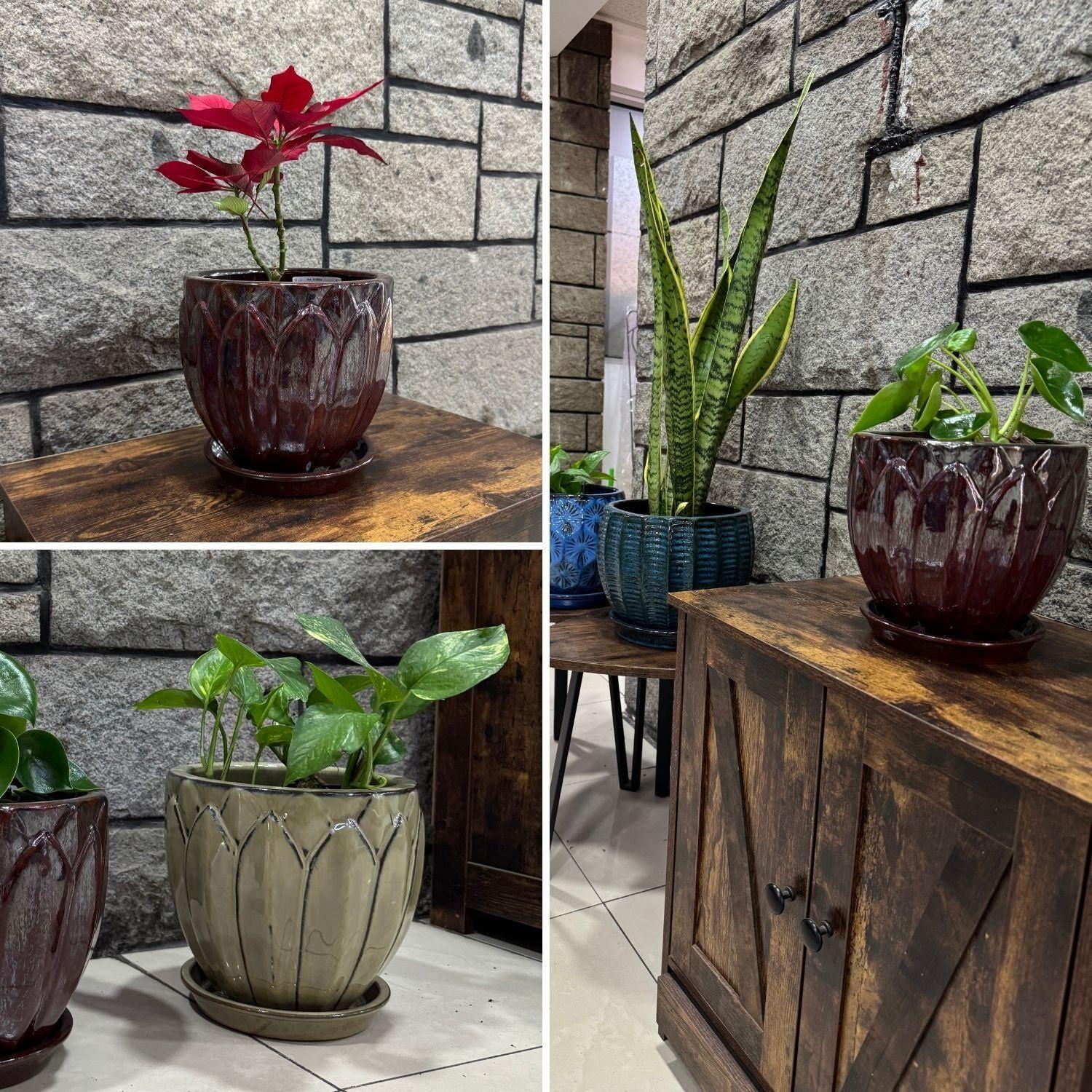 Maceta Forest 22 Marfil con plato-3