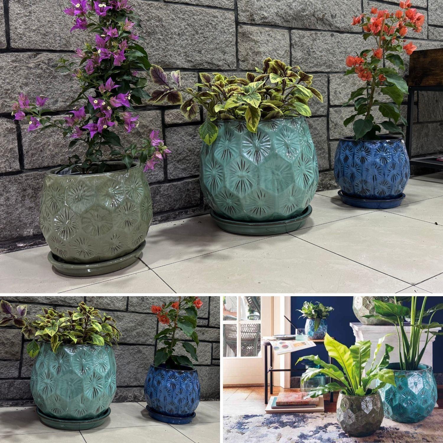 Maceta Patelle 18 Turquesa con plato-3