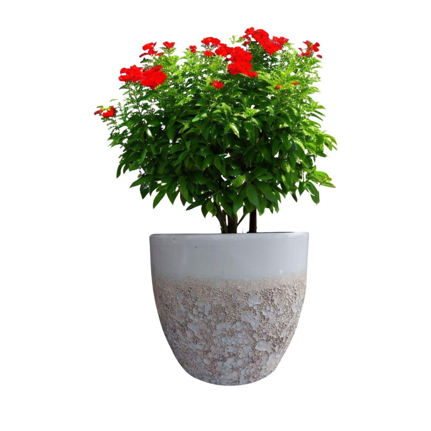 Maceta Seaside 23cm Ovalada Blanco Tropea Deroma-1
