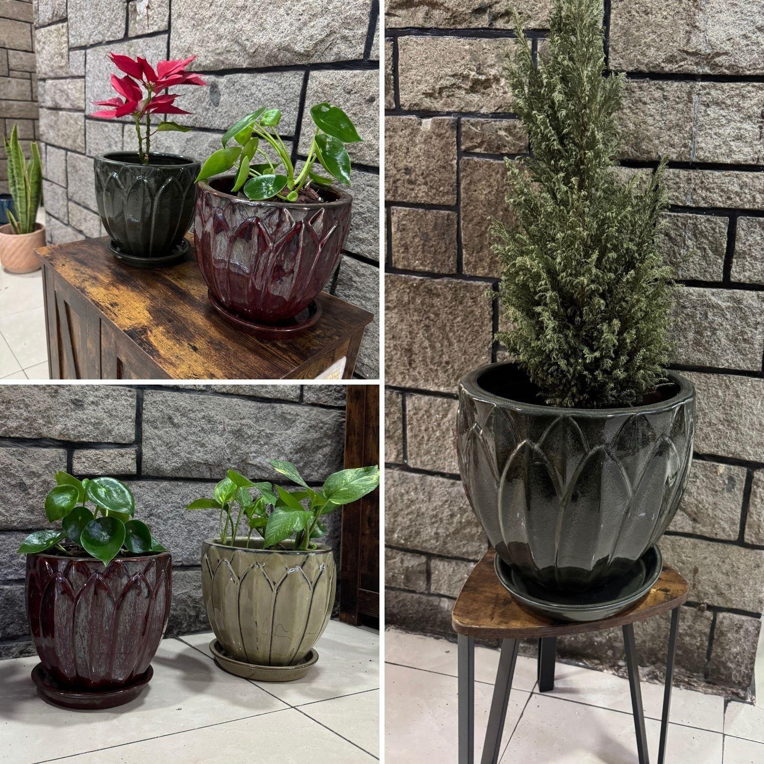 Maceta Forest 29 Marfil con plato-3