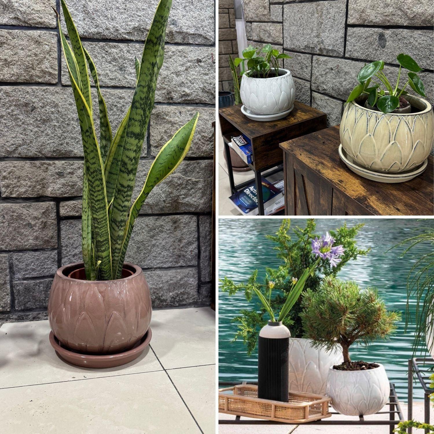 Maceta Victoria 37 Marfil con plato-3