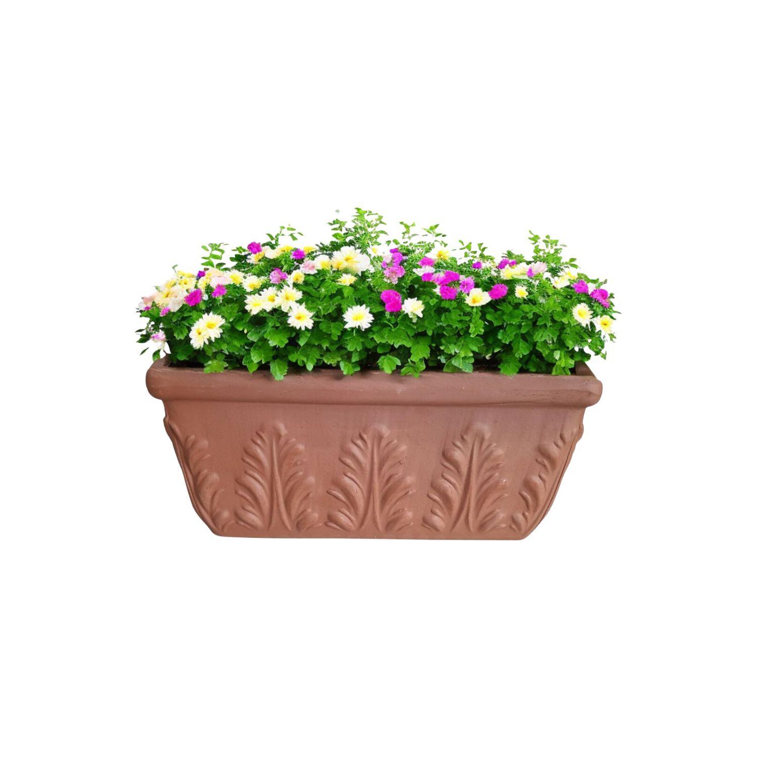 Jardinera Rectangular ROMANA Terracota con Relieve 32cm Deroma-0