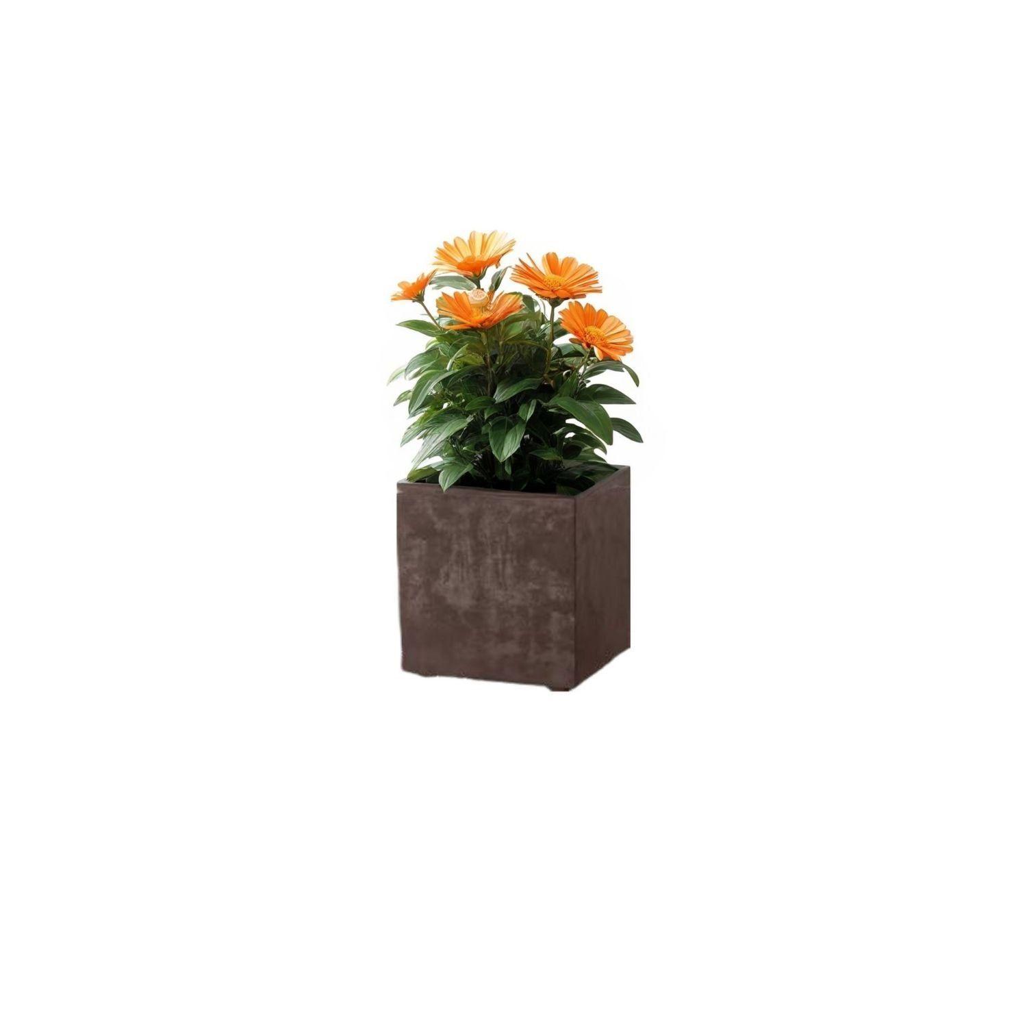 MACETA CUBO DEROMA 25X25cm COBRE-4