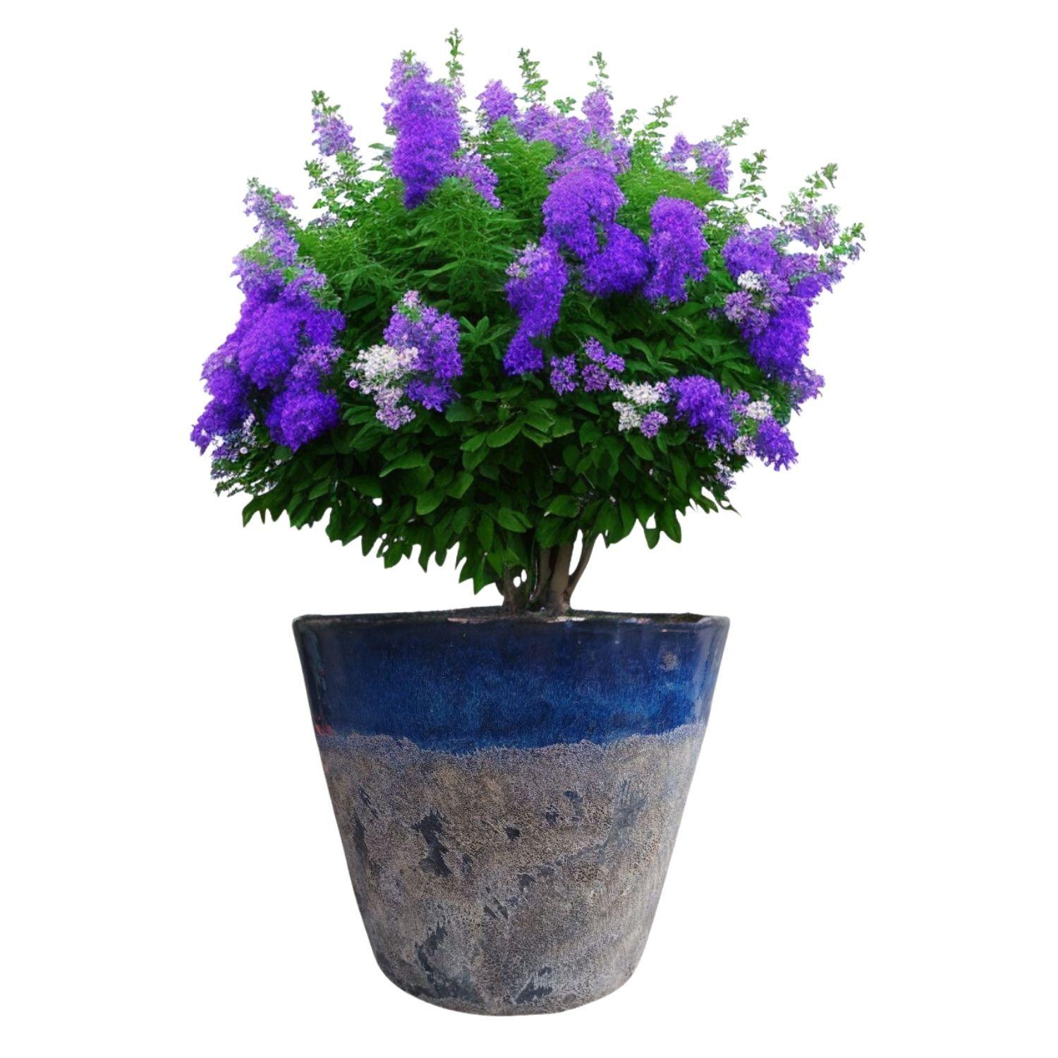 Maceta Seaside 28cm Cónica Azul Cerdeña Deroma-1