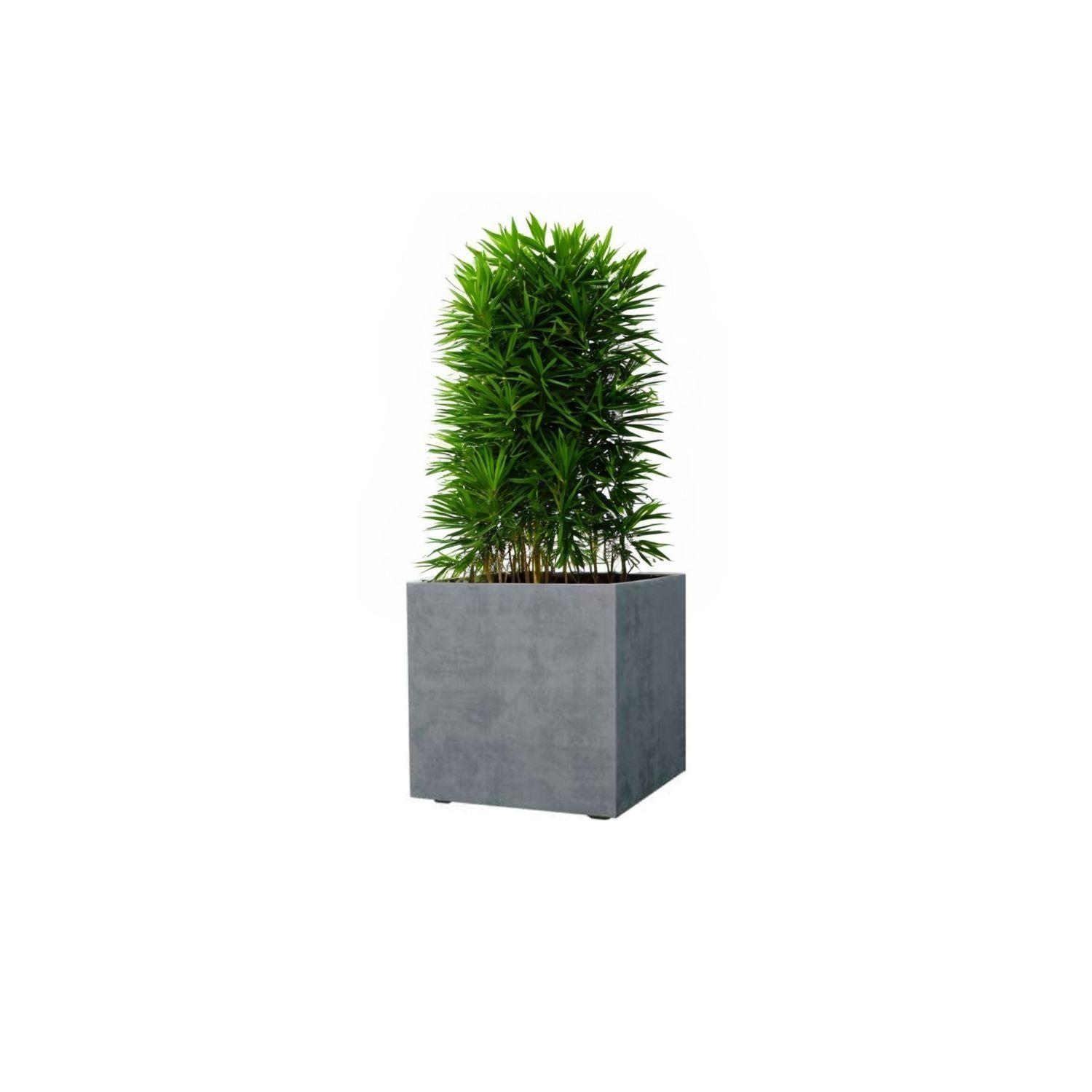 MACETA CUBO DEROMA 25X25cm CEMENTO-0