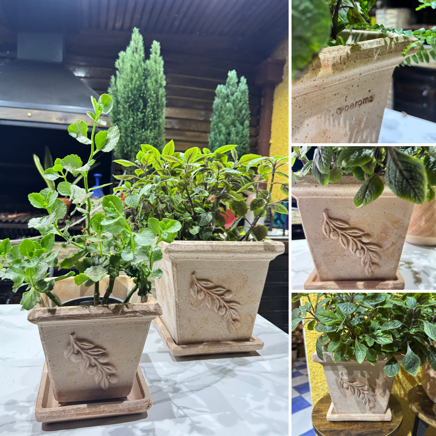 Set Maceta Cuadrada 18 con Relieve Oliva con plato-2