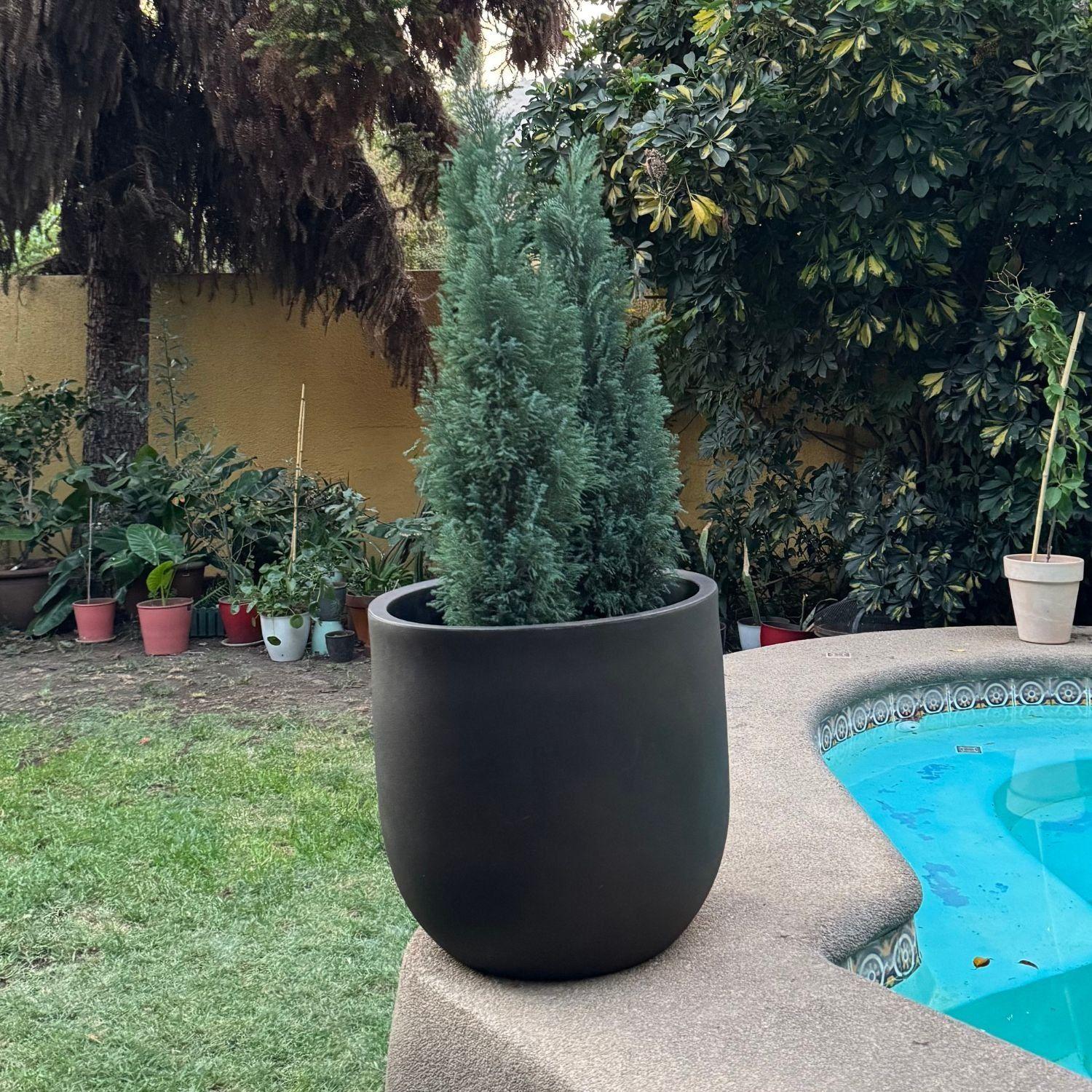 Maceta Grande Muna 53 Negro-2