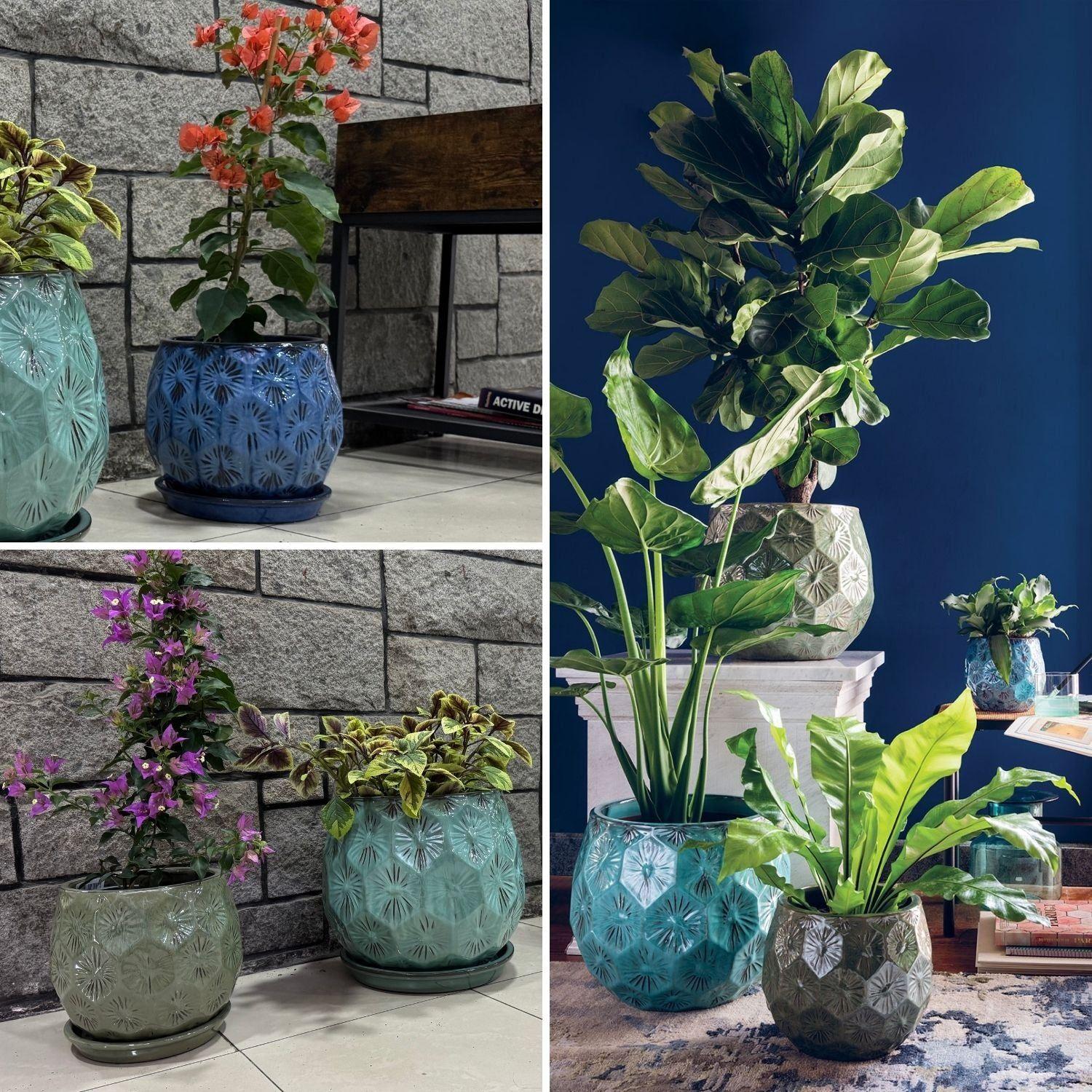 Maceta Patelle 26 Turquesa con plato-3