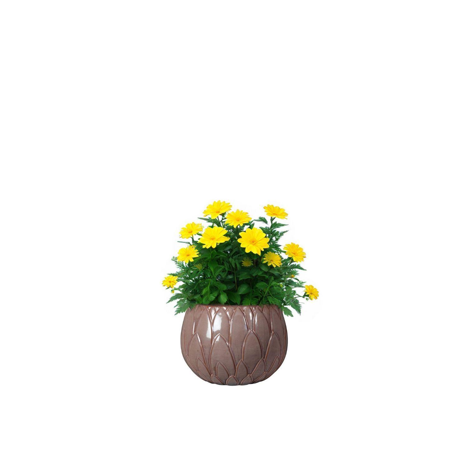 Maceta Victoria 18 Malva-2
