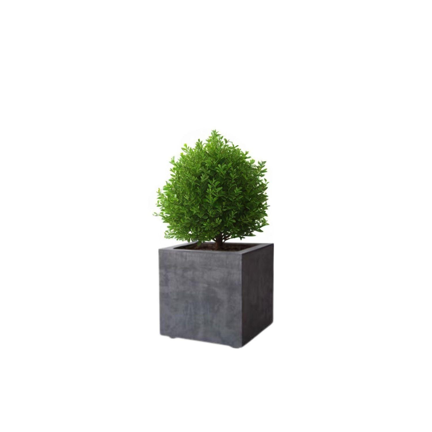 MACETA CUBO DEROMA 25X25cm GRAFITO-0