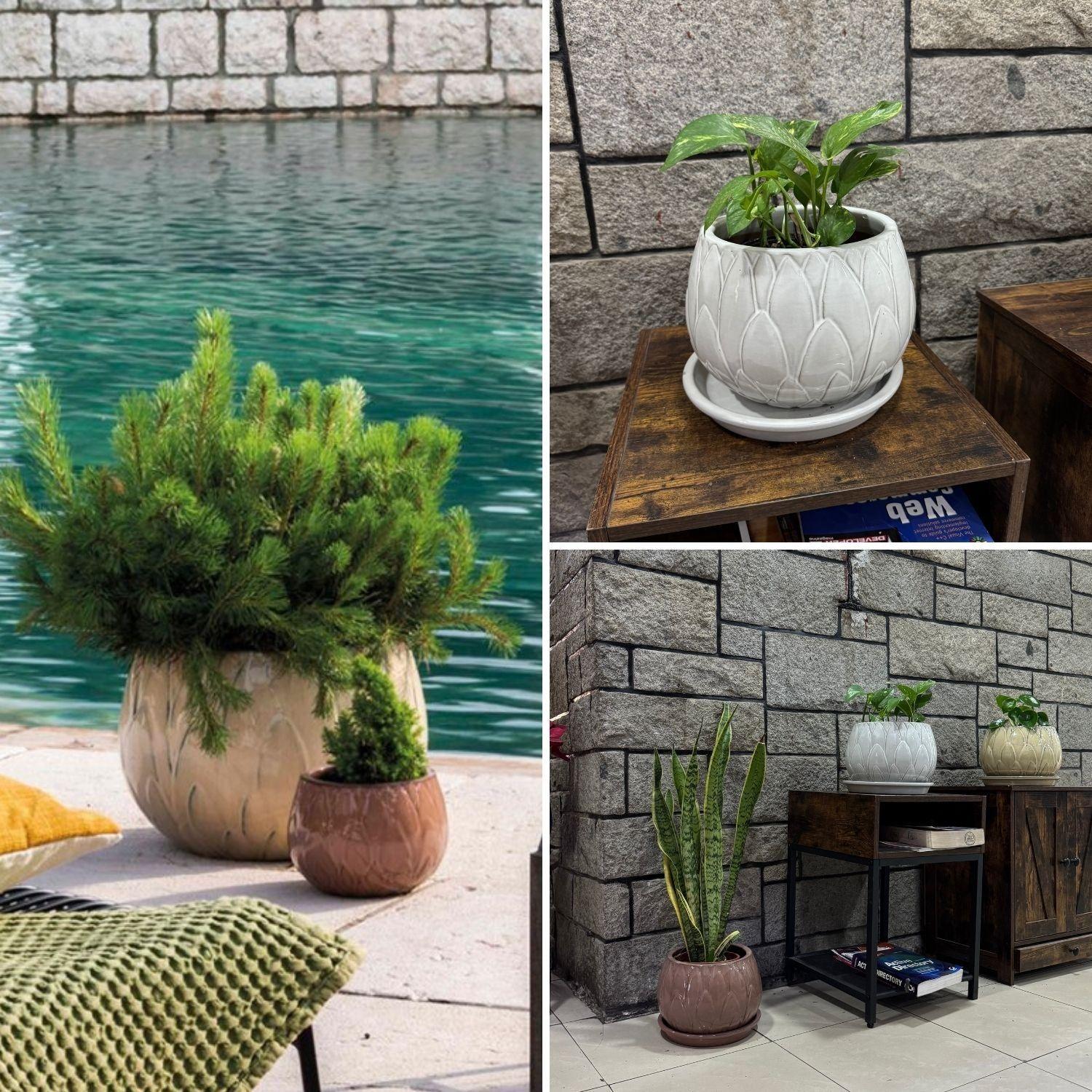 Maceta Victoria 37 Alba con plato-3