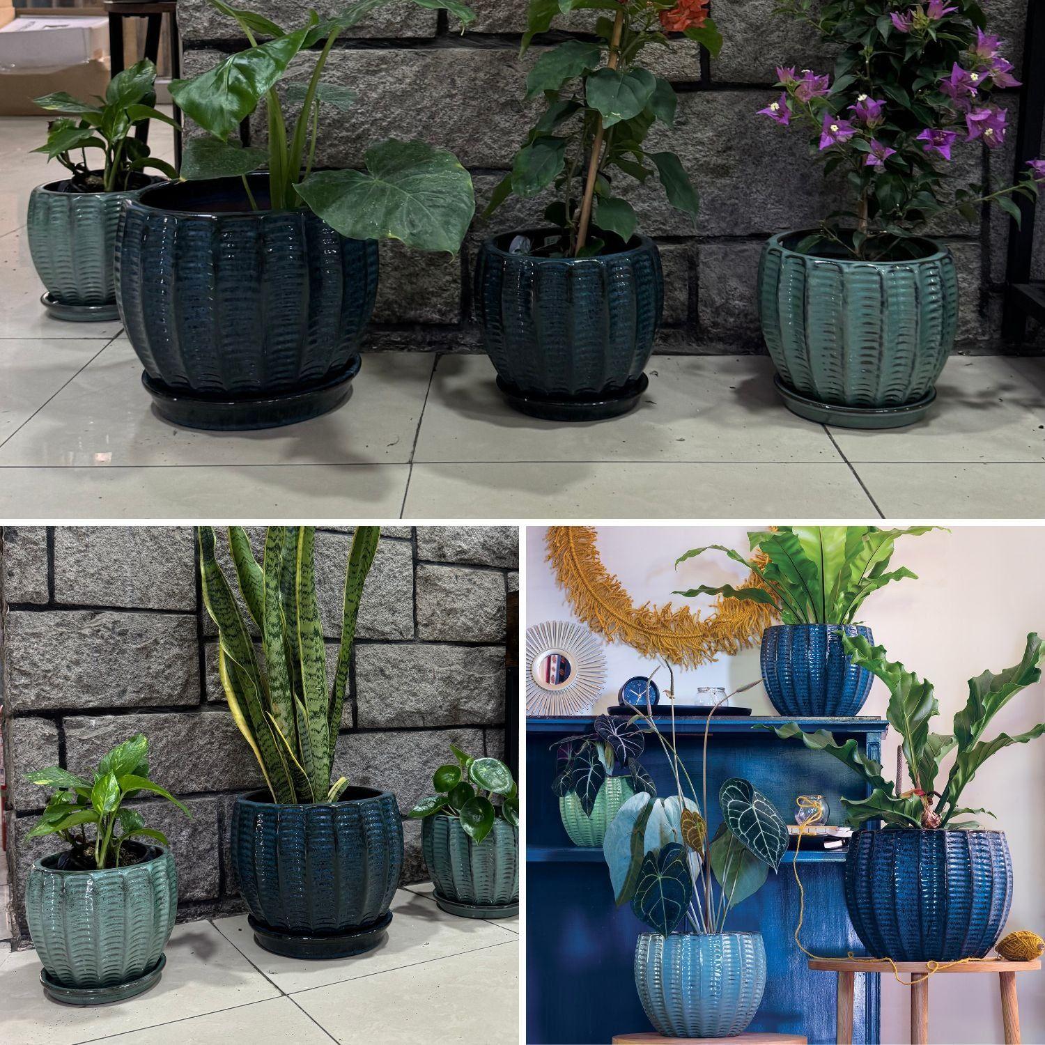 Maceta Hosse 37 Azul Pacifico con plato-3