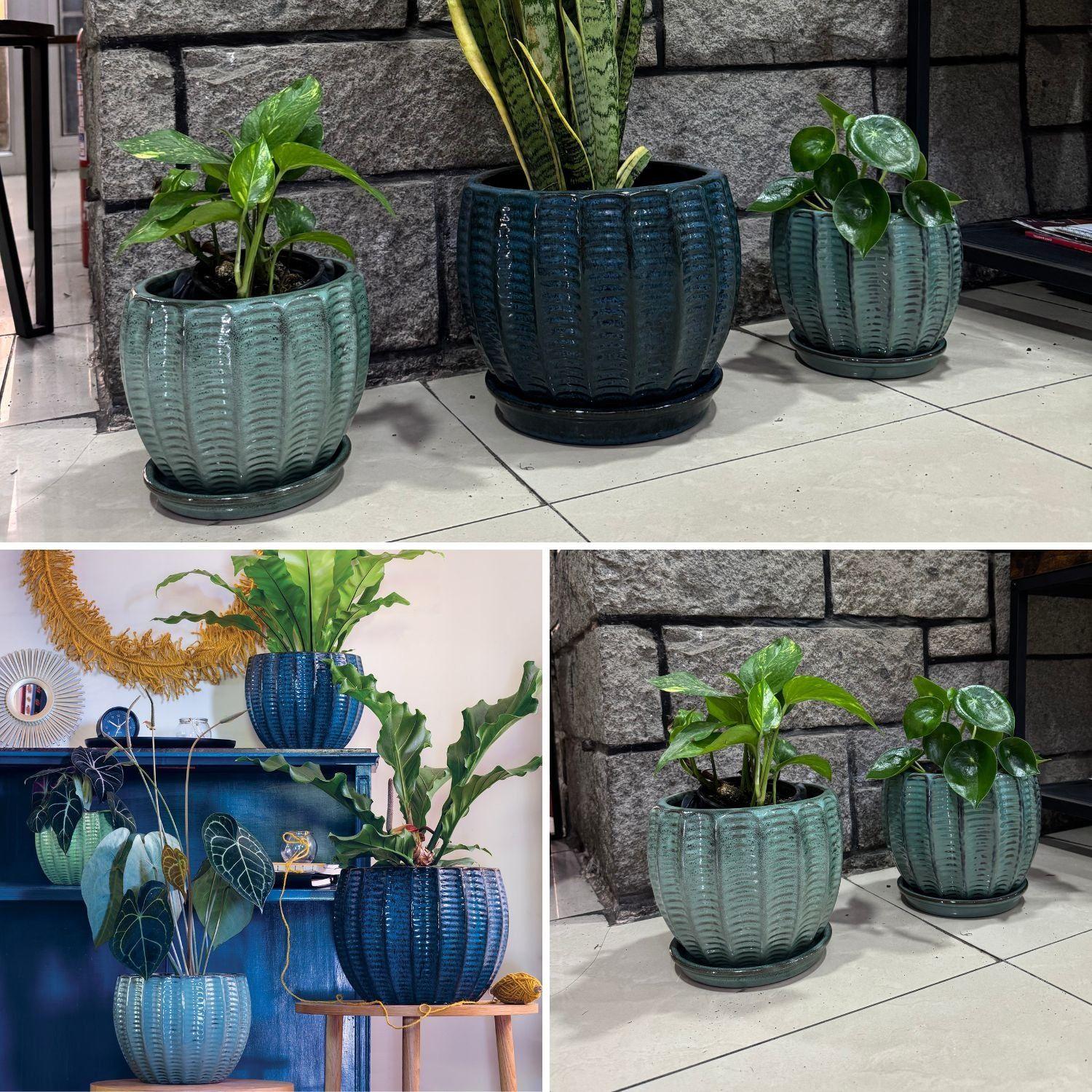 Maceta Hosse 20 Azul Pacifico con plato-3