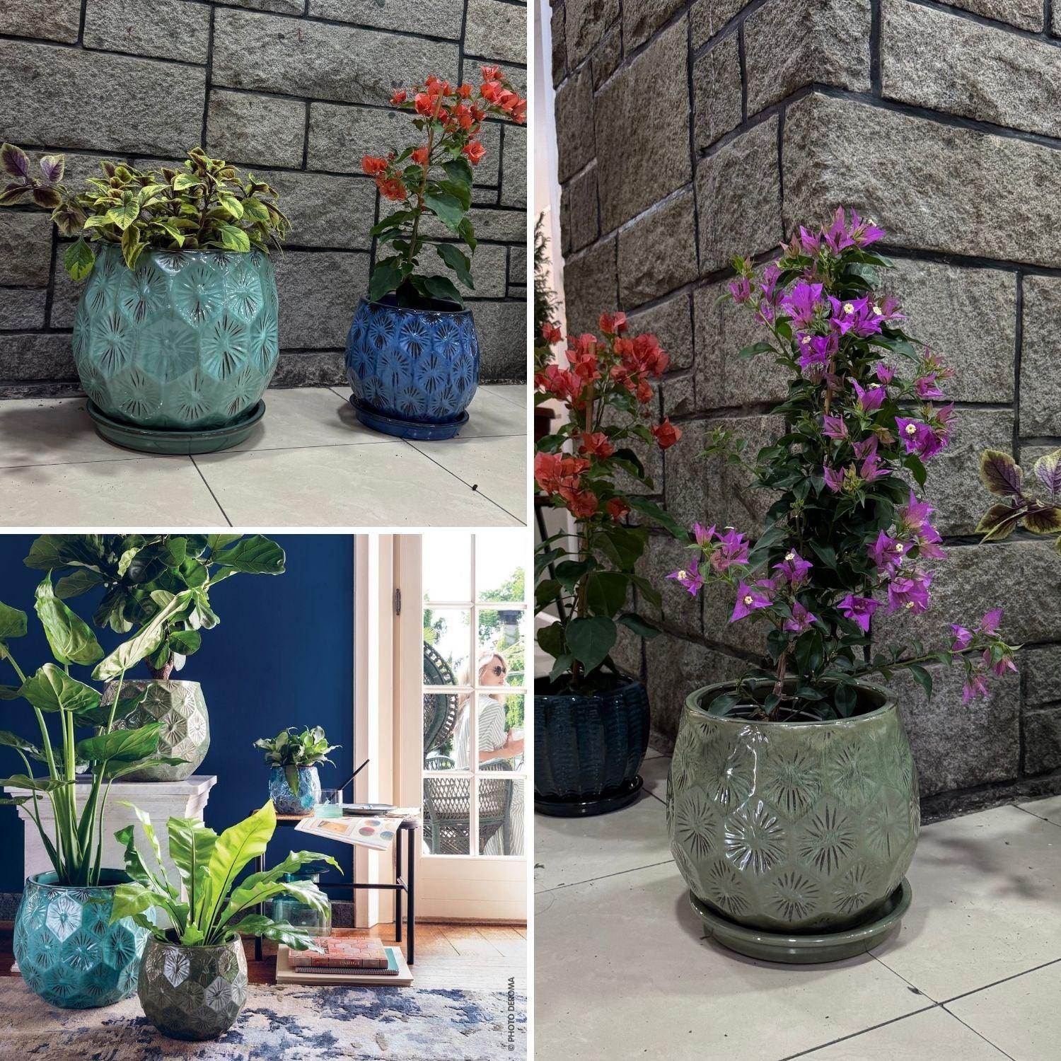 Maceta Patelle 38 Verde Musgo con plato-3