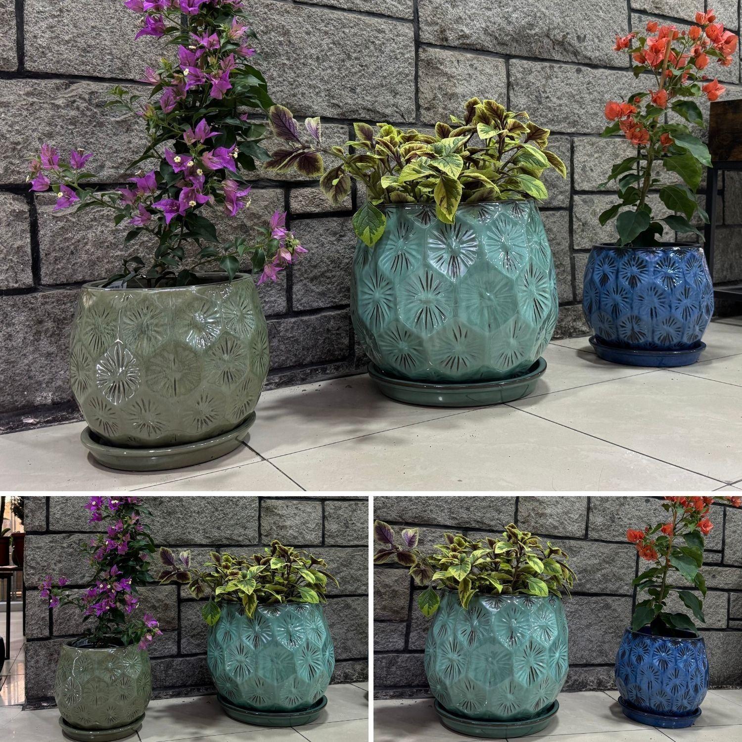 Maceta Patelle 26 Verde Musgo con plato-3