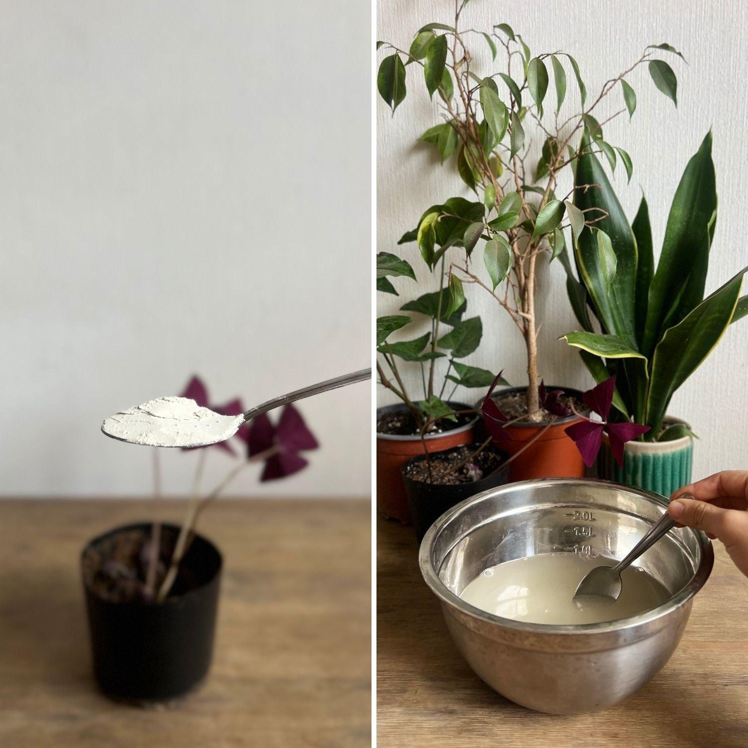 Repelente Bio Kai Repel 10grs-3