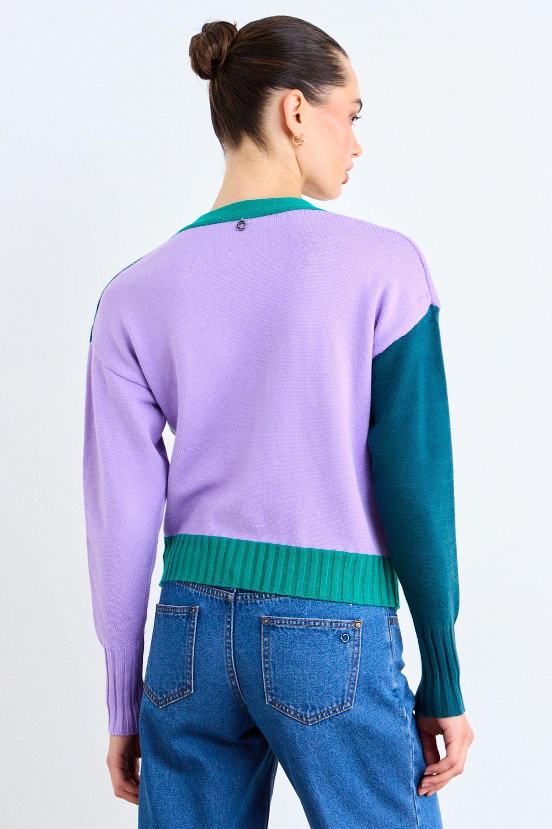 Chaleco Liso Multicolor iO 18020126003211-2