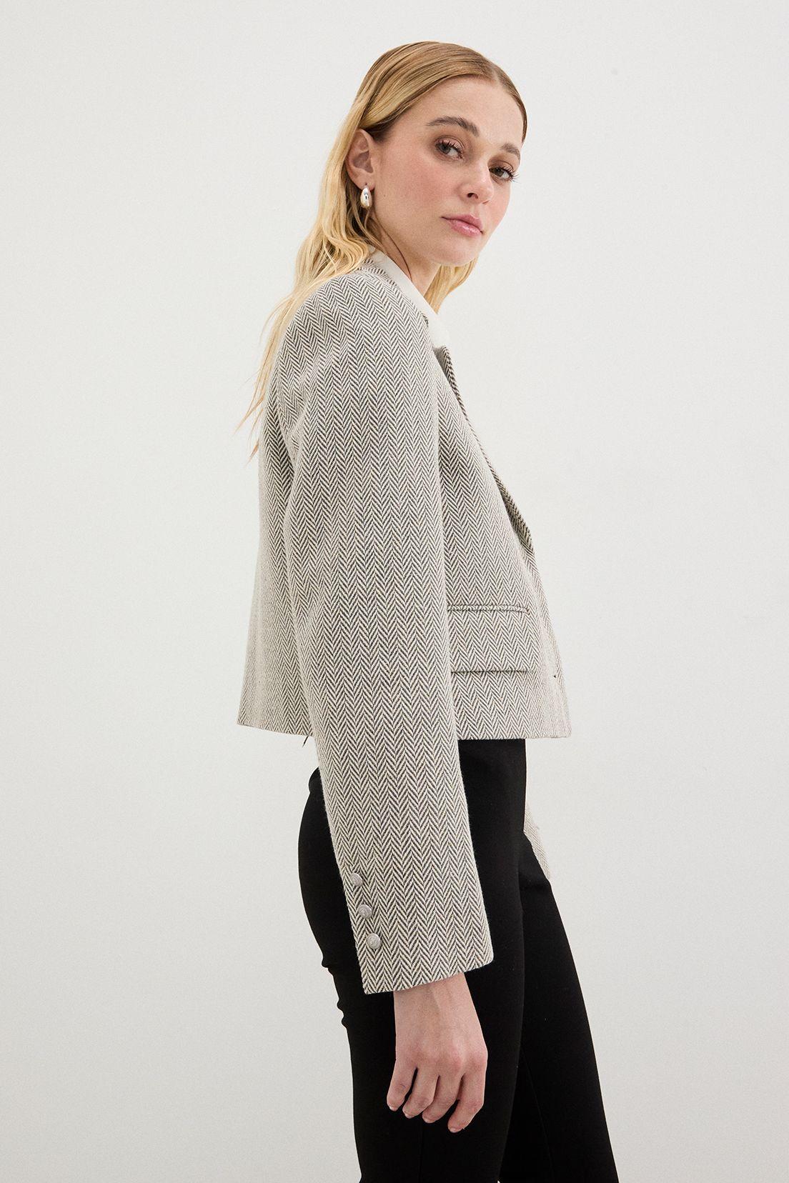 Blazer Fantasia Gris 16104125003113-4