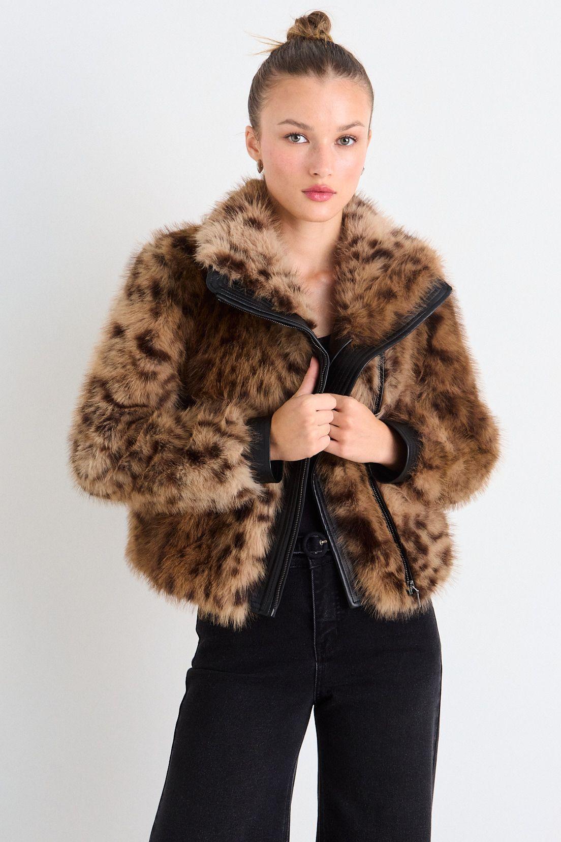 Casaca Fantasia Café iO 17720126054109-0