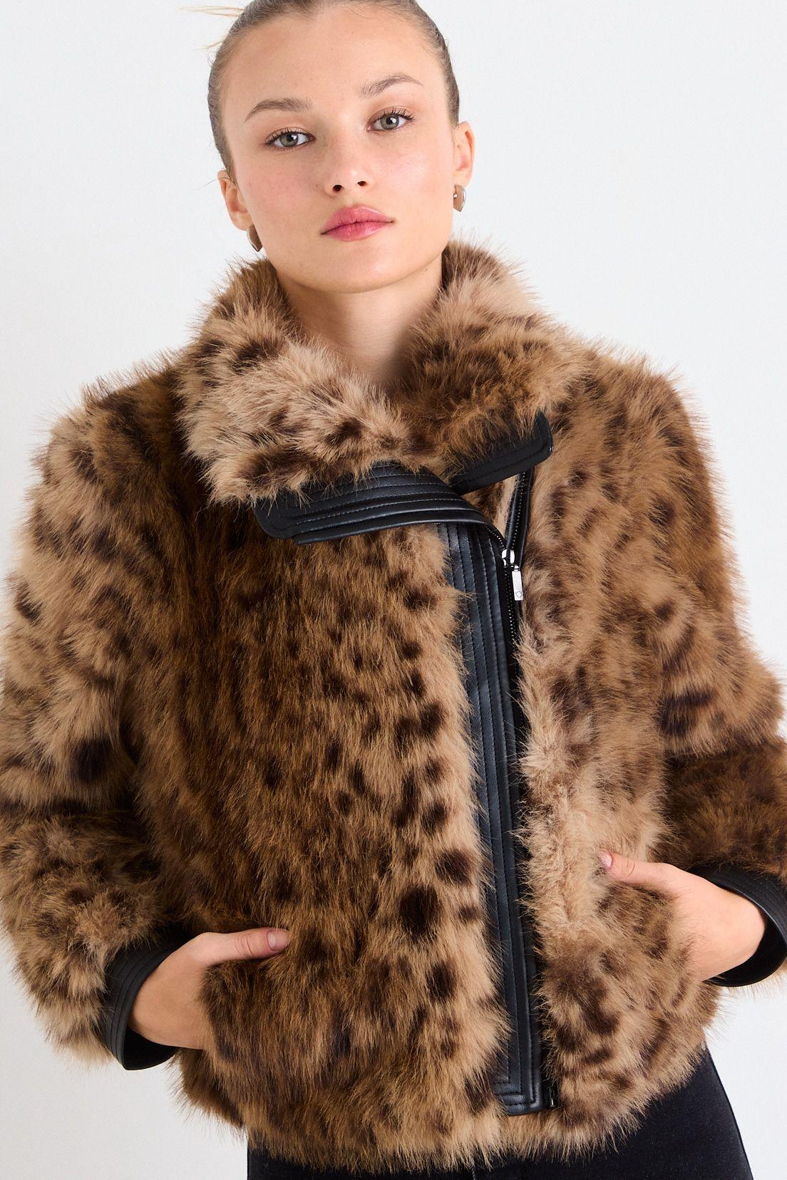 Casaca Fantasia Café iO 17720126054109-1