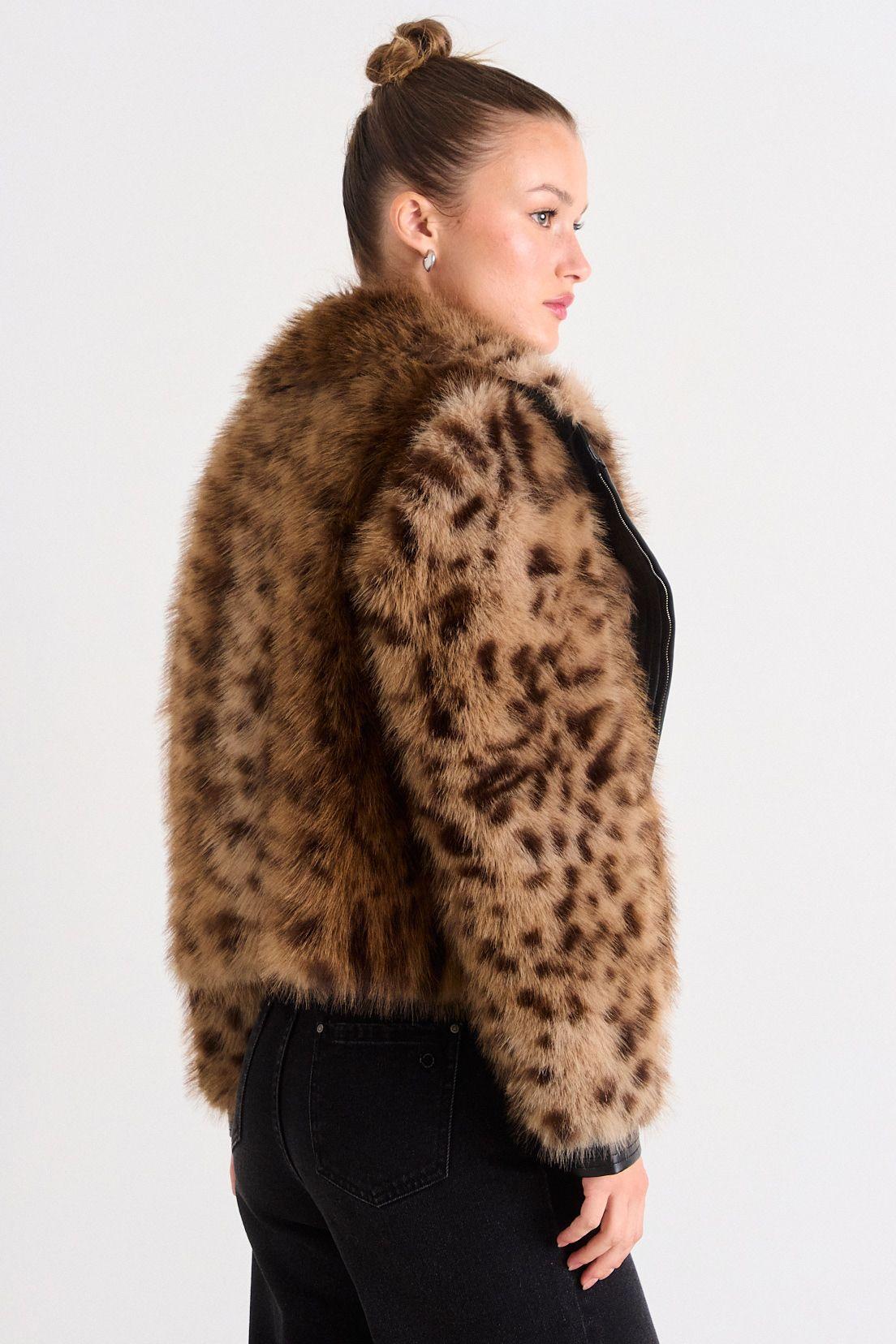 Casaca Fantasia Café iO 17720126054109-2