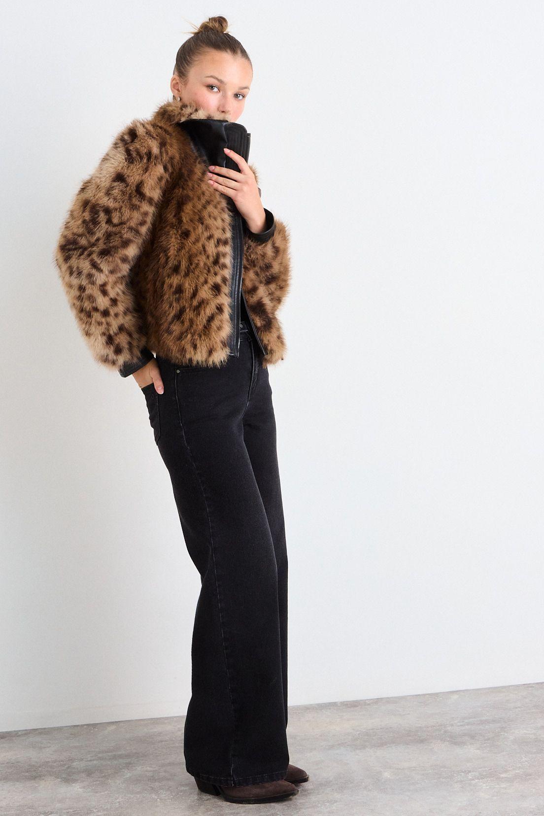 Casaca Fantasia Café iO 17720126054109-3