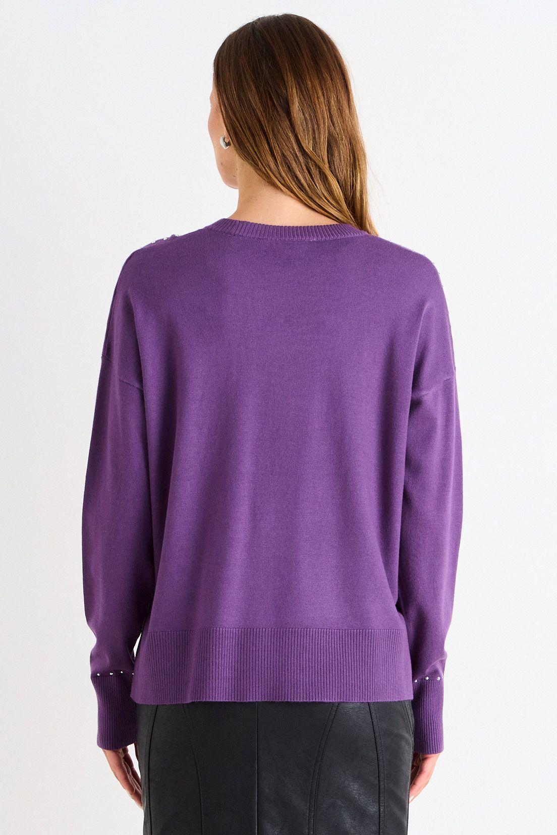 Sweater Cuello Redondo Morado Ash 18107126001121-2