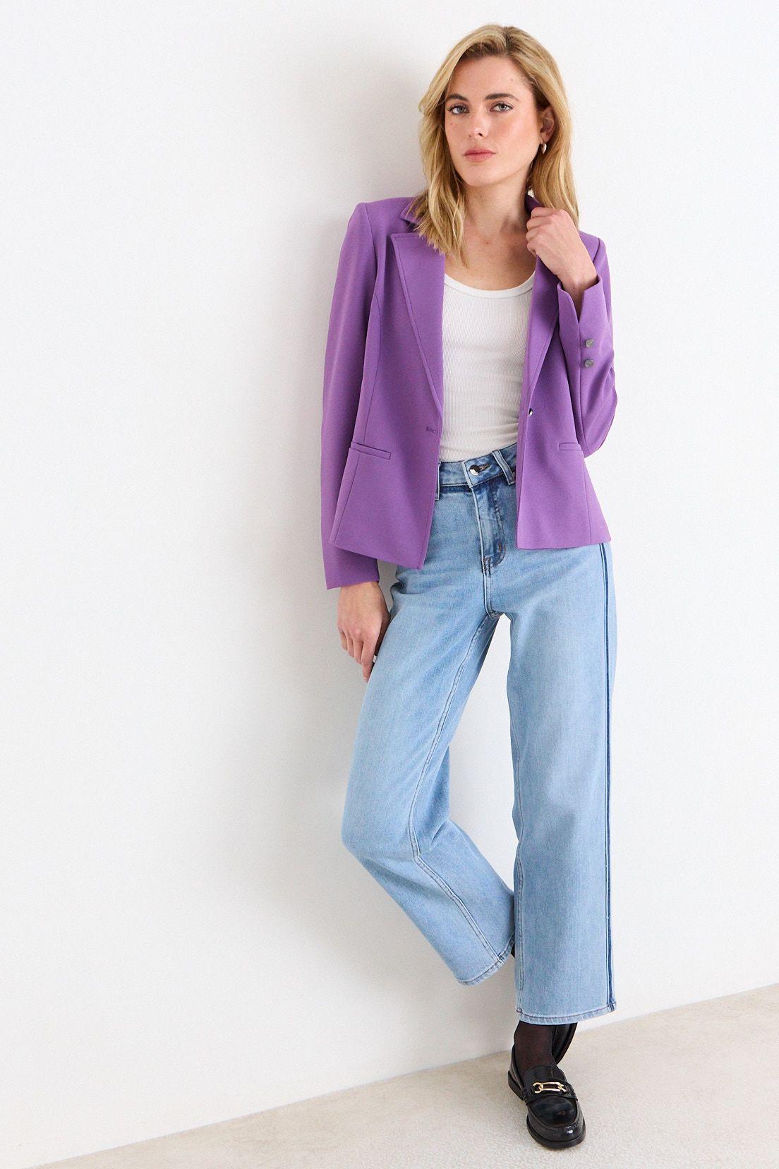 Blazer Liso Morado Ash 16007226003121-3