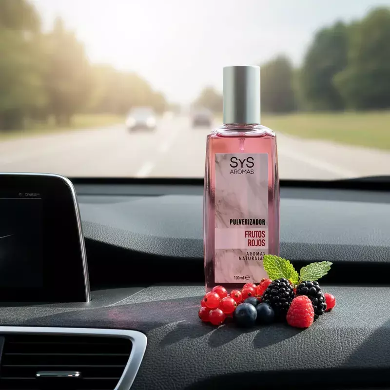 Ambientador Difusor Pulverizador Sys Aroma Textil 100ml-2