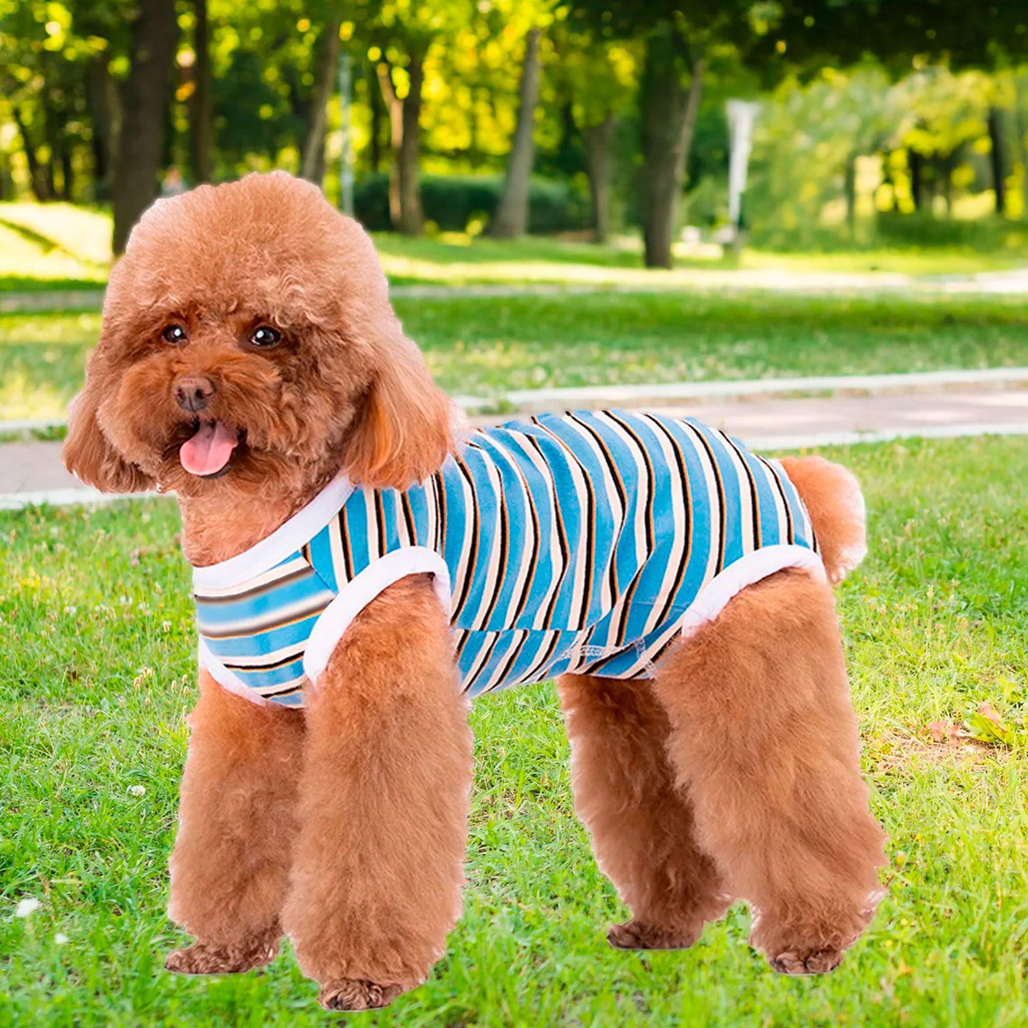 Body Post Operatoria Faja Traje Para Perros Chaleco Mascotas-1