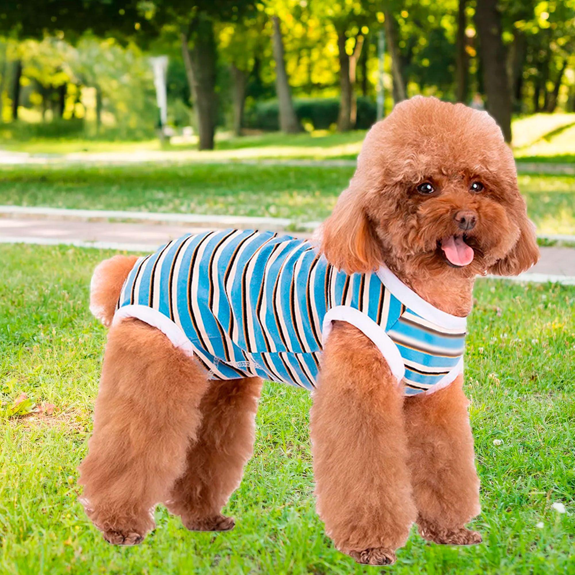 Body Post Operatoria Faja Traje Para Perros Chaleco Mascotas-2