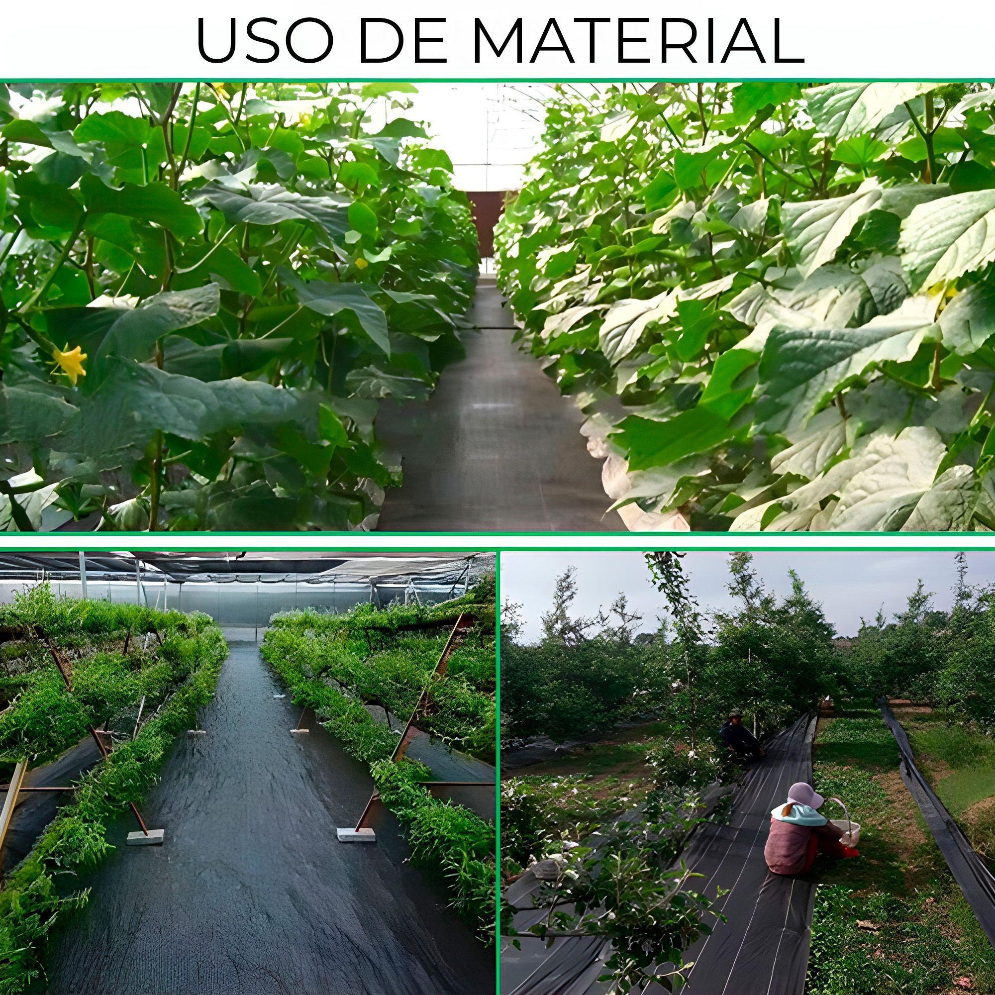 Tela Para Jardineria Agricultura Resistente Calidad 2x100m-4