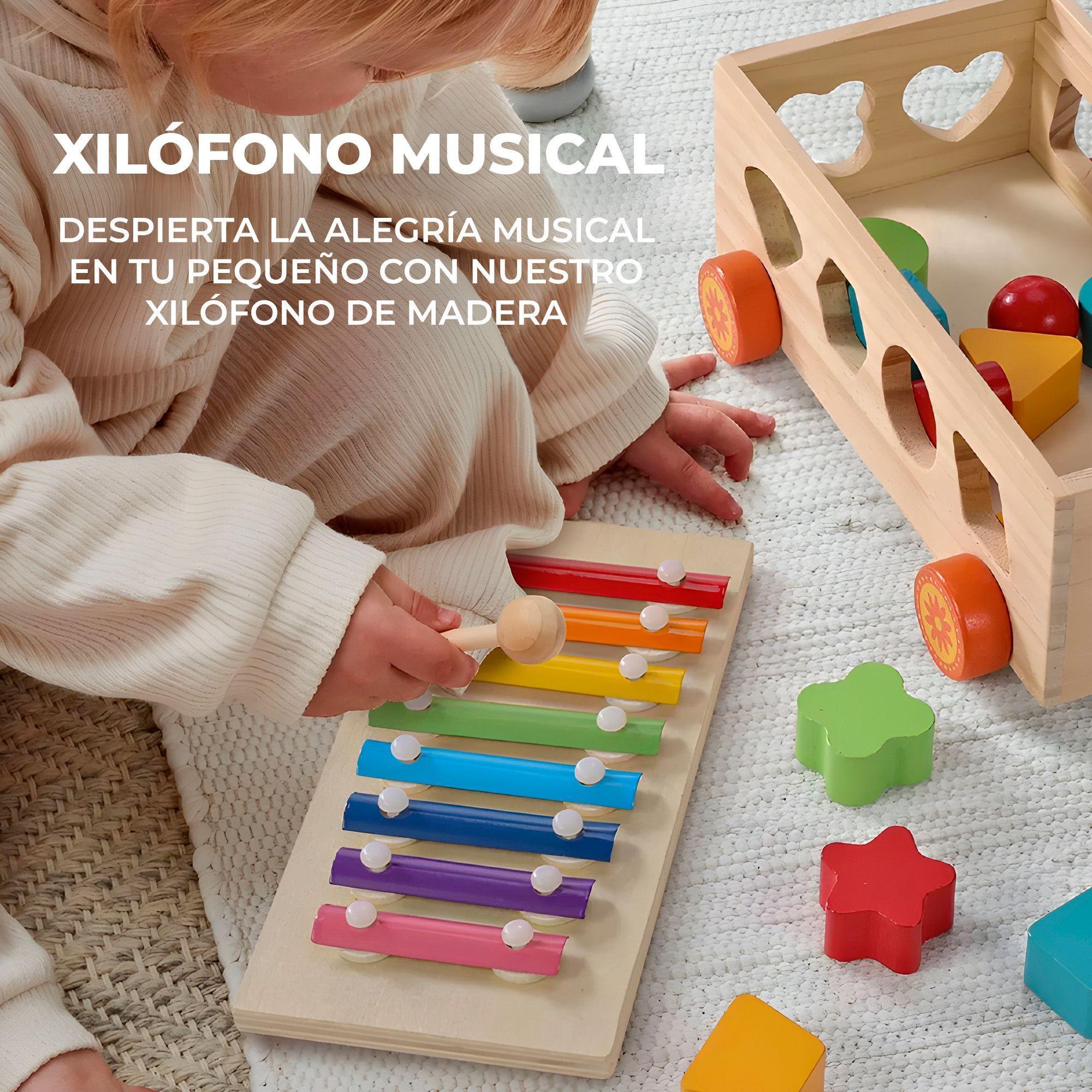 Juguete Xilófono Montessori Didáctico Educativo Encaje Niños-4