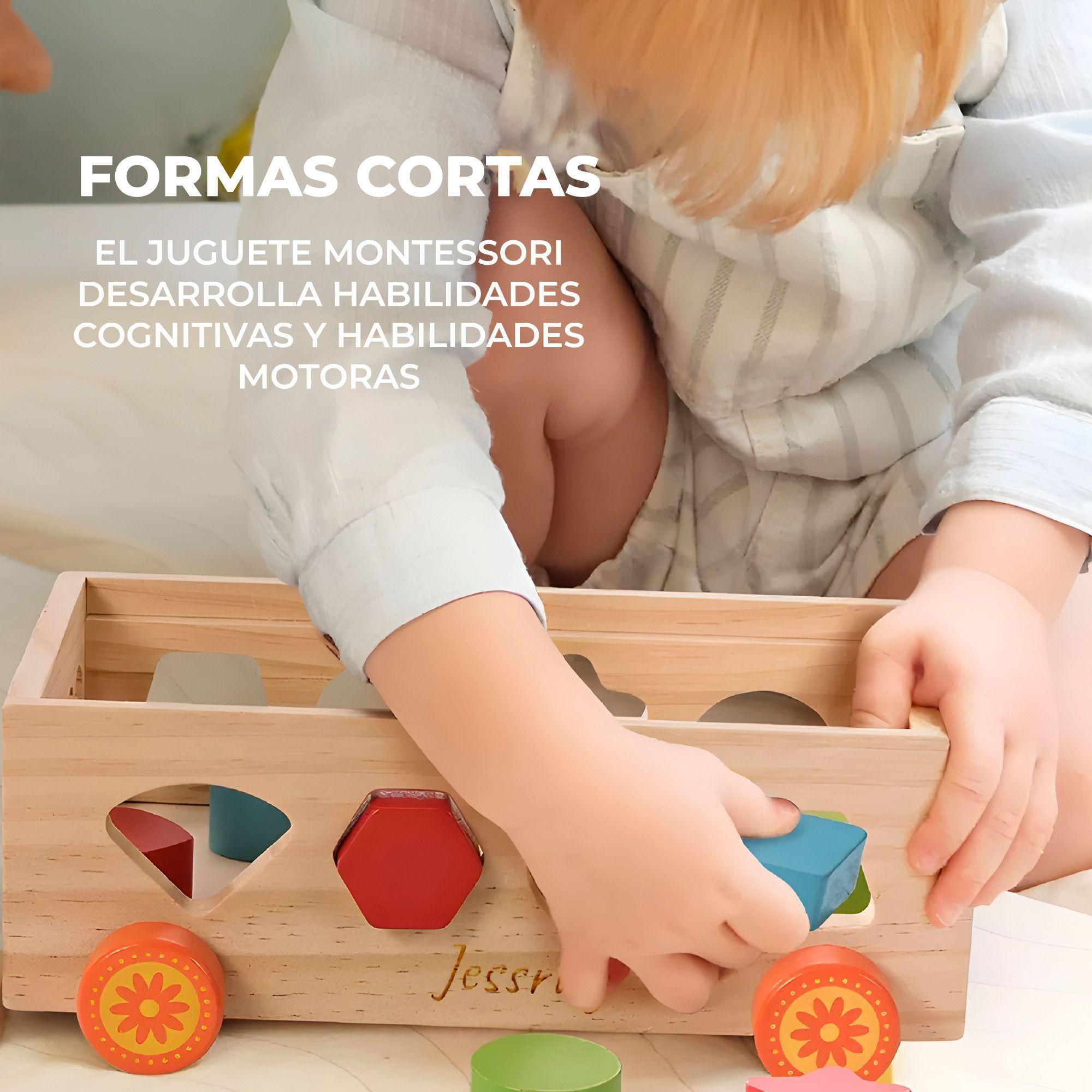 Juguete Xilófono Montessori Didáctico Educativo Encaje Niños-5