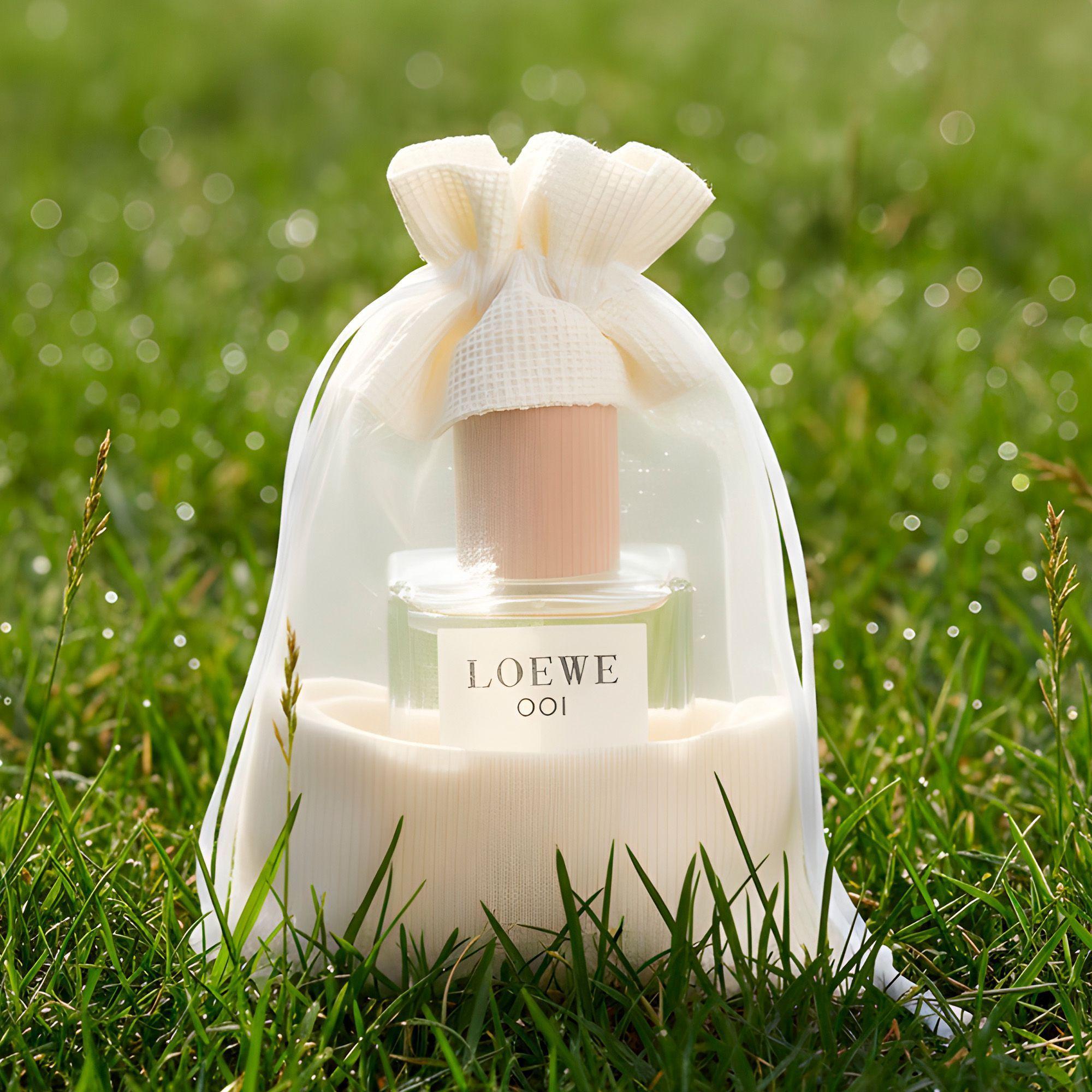 25 Bolsas De Organza Blancas Cordón Ventana Regalo 10x14 Cm-4