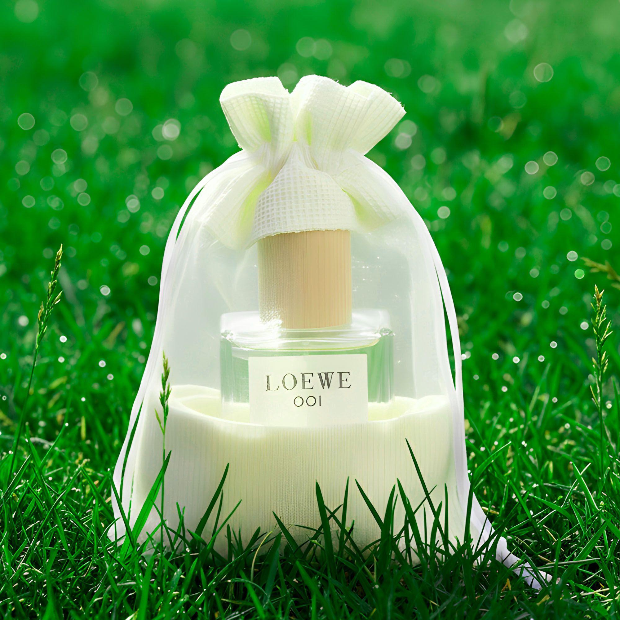 25 Bolsas De Organza Crema Cordón Ventana Regalo 10x14 Cm-7