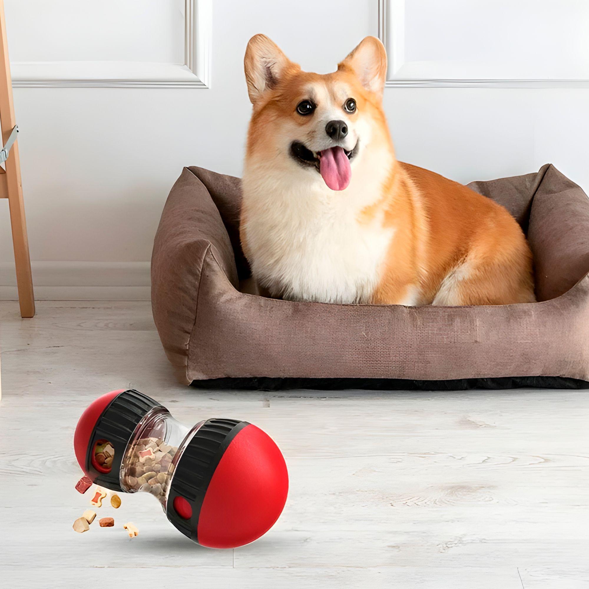 Juguete Perro Mascota Interactivo Dispensador Alimento-2