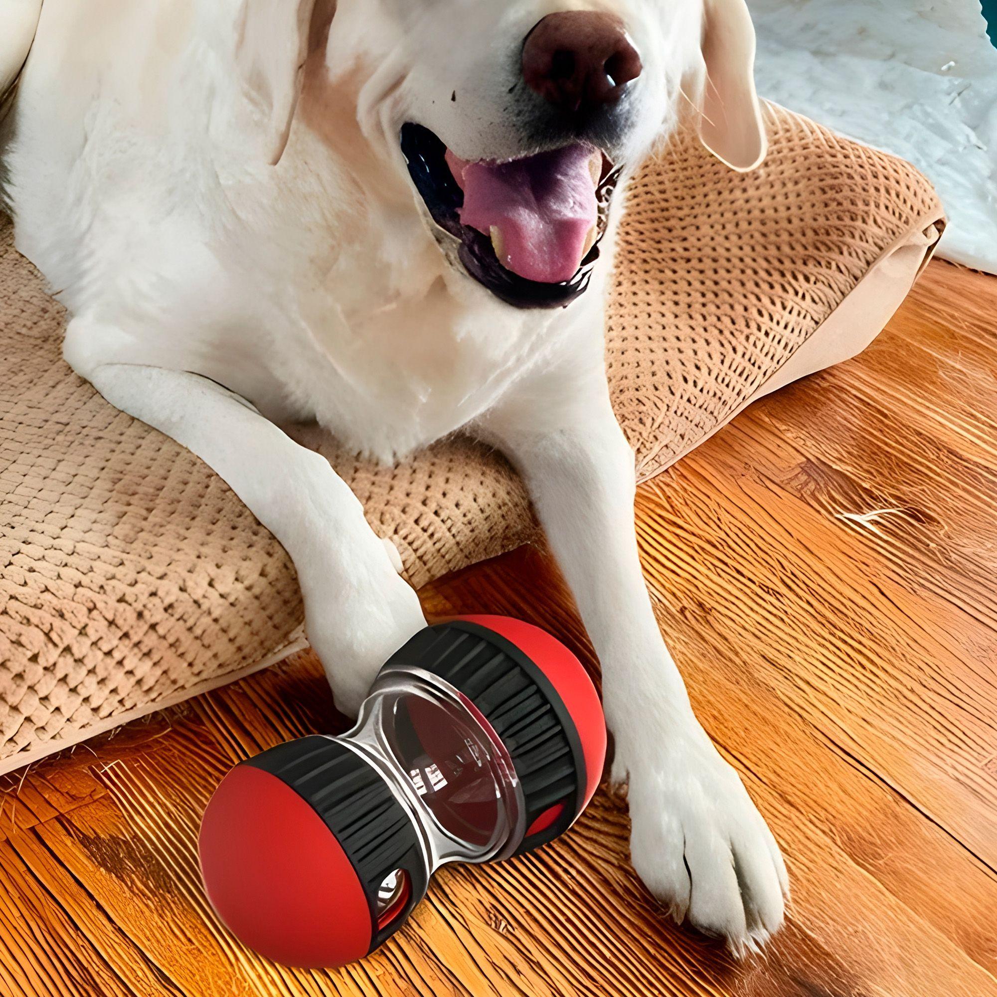 Juguete Perro Mascota Interactivo Dispensador Alimento-3