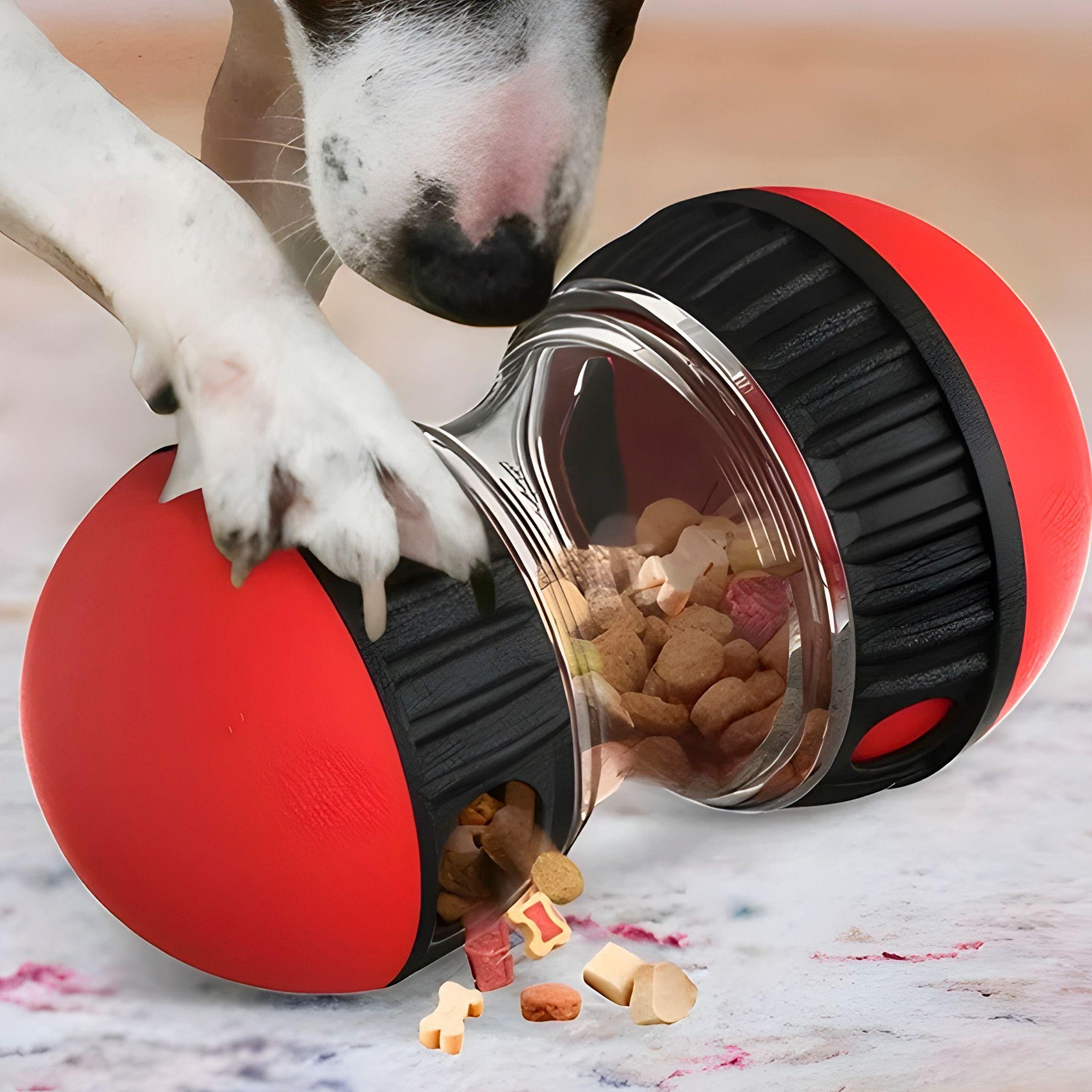 Juguete Perro Mascota Interactivo Dispensador Alimento-4