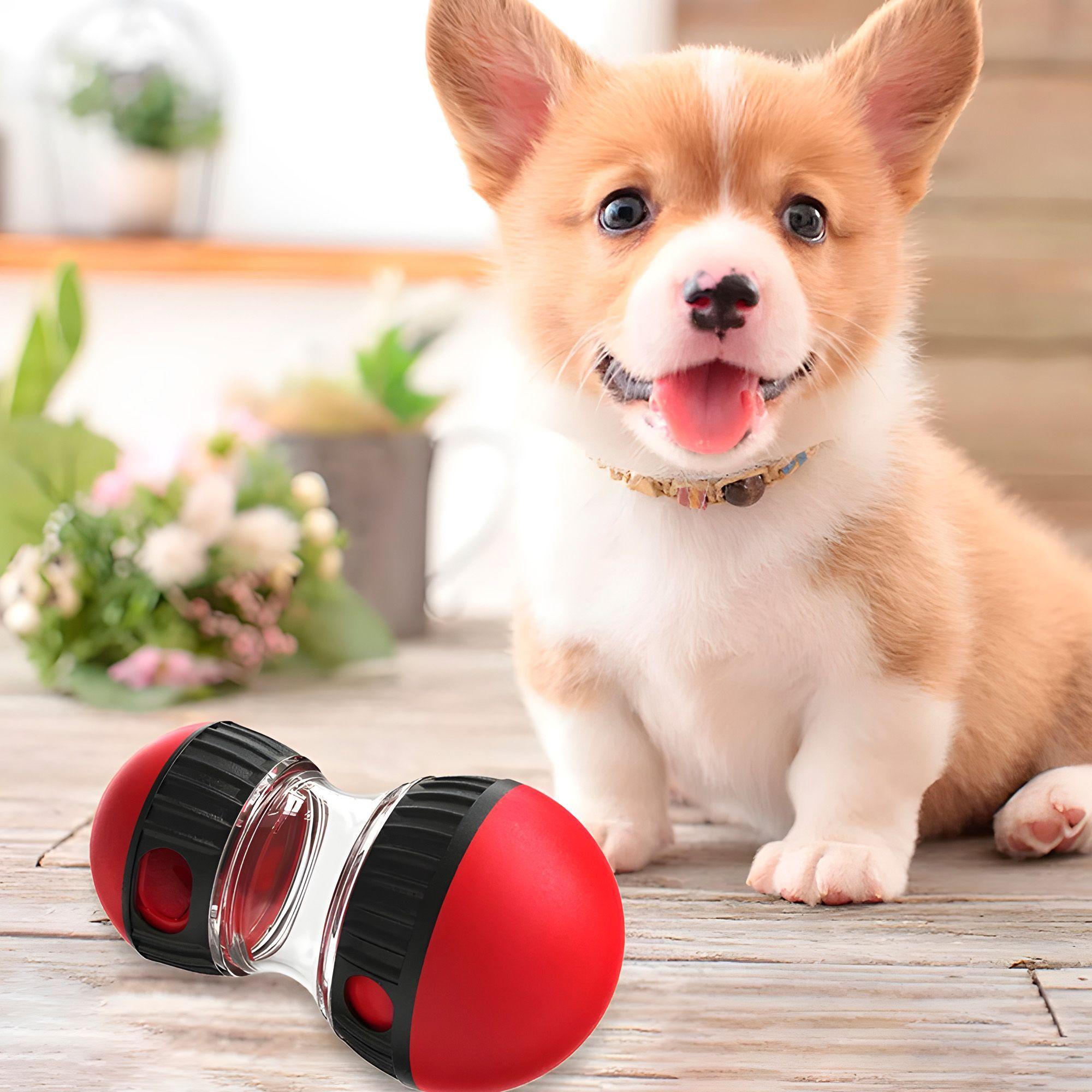 Juguete Perro Mascota Interactivo Dispensador Alimento-5