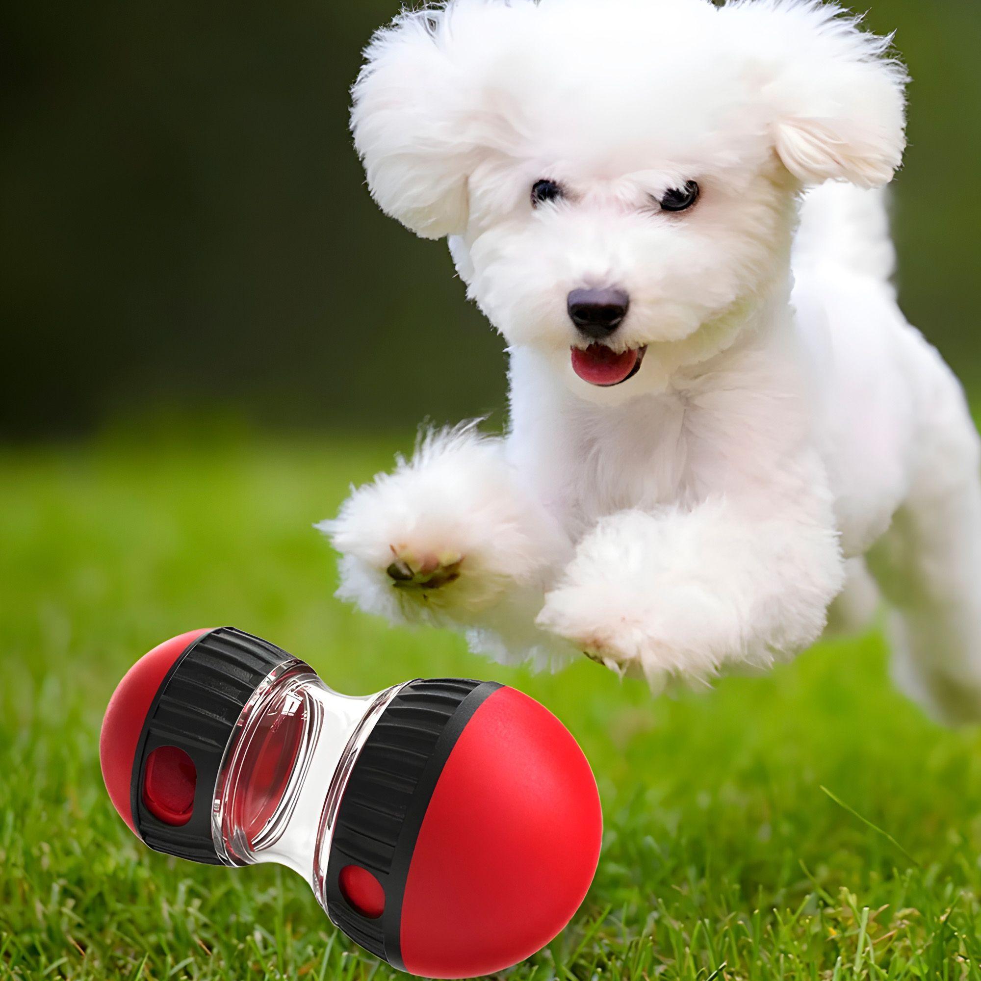 Juguete Perro Mascota Interactivo Dispensador Alimento-6