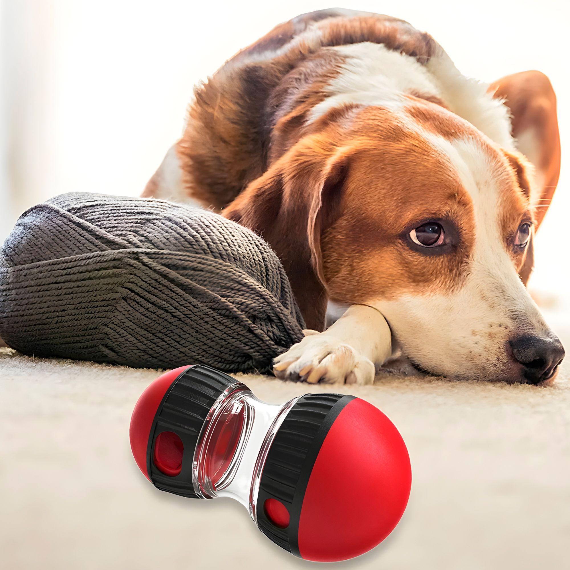 Juguete Perro Mascota Interactivo Dispensador Alimento-7