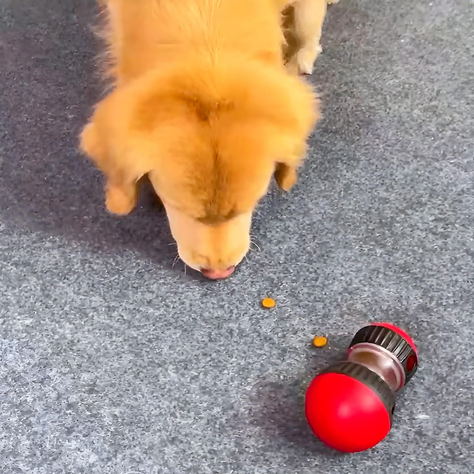 Juguete Perro Mascota Interactivo Dispensador Alimento-9