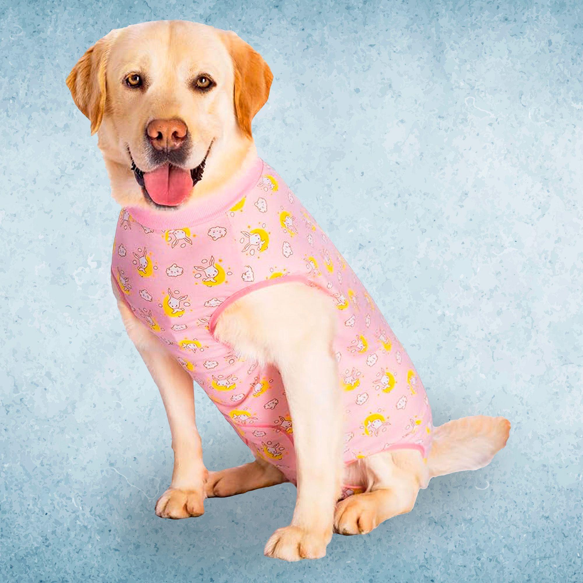 Faja Post Operatoria Traje Para Perros Chaleco Mascotas-2